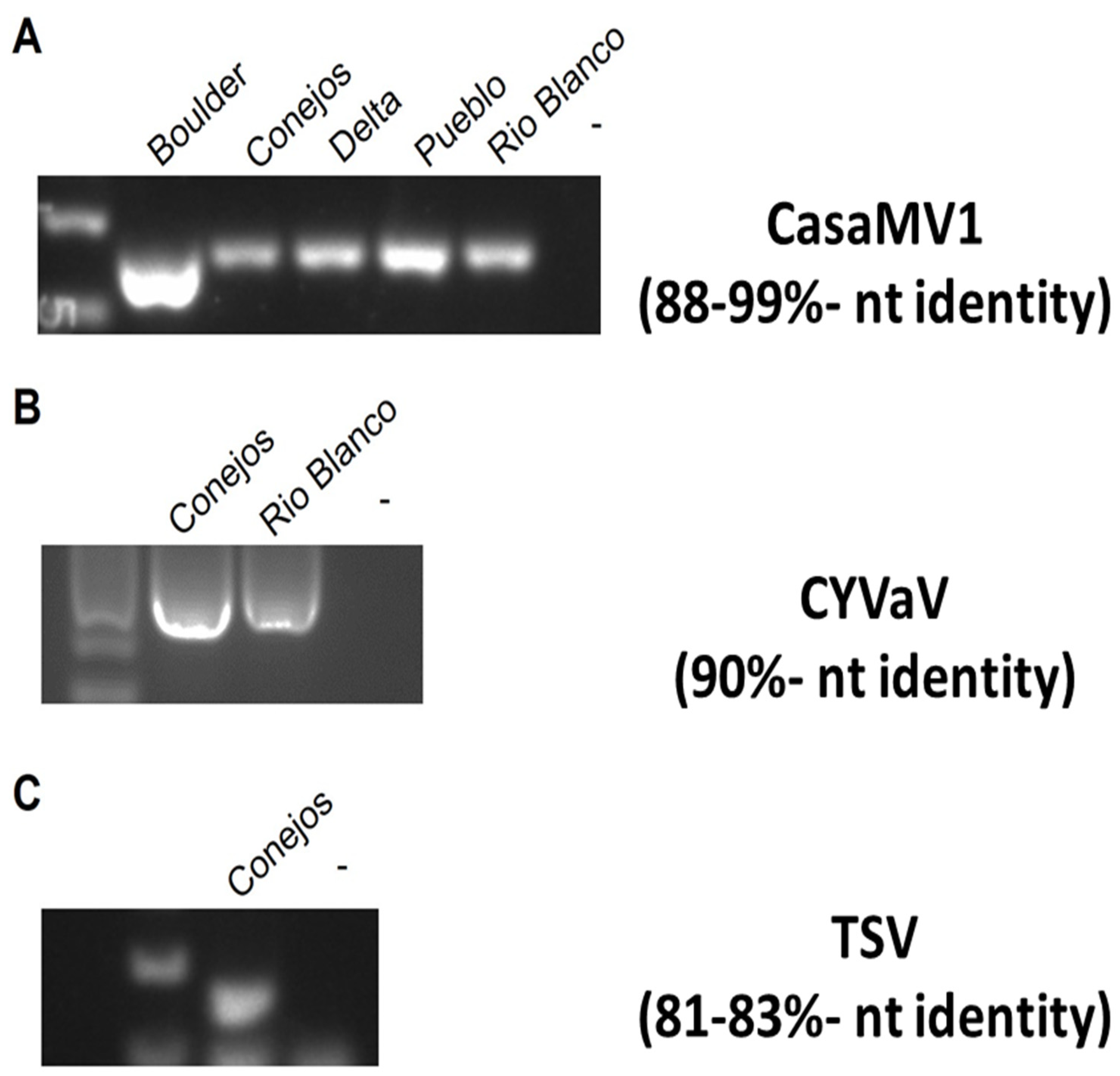 Preprints 89006 g022