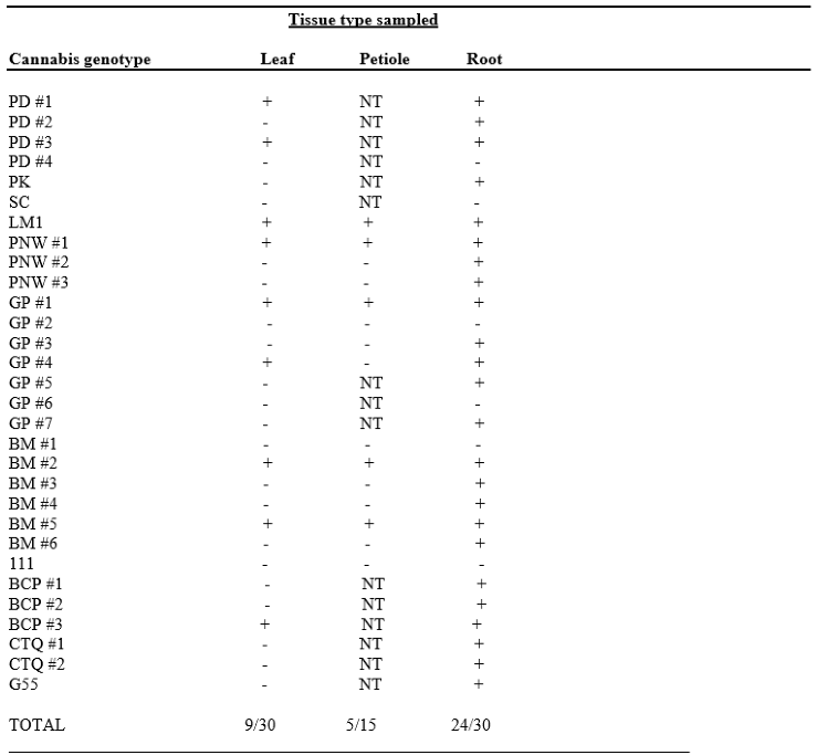 Preprints 89006 i001