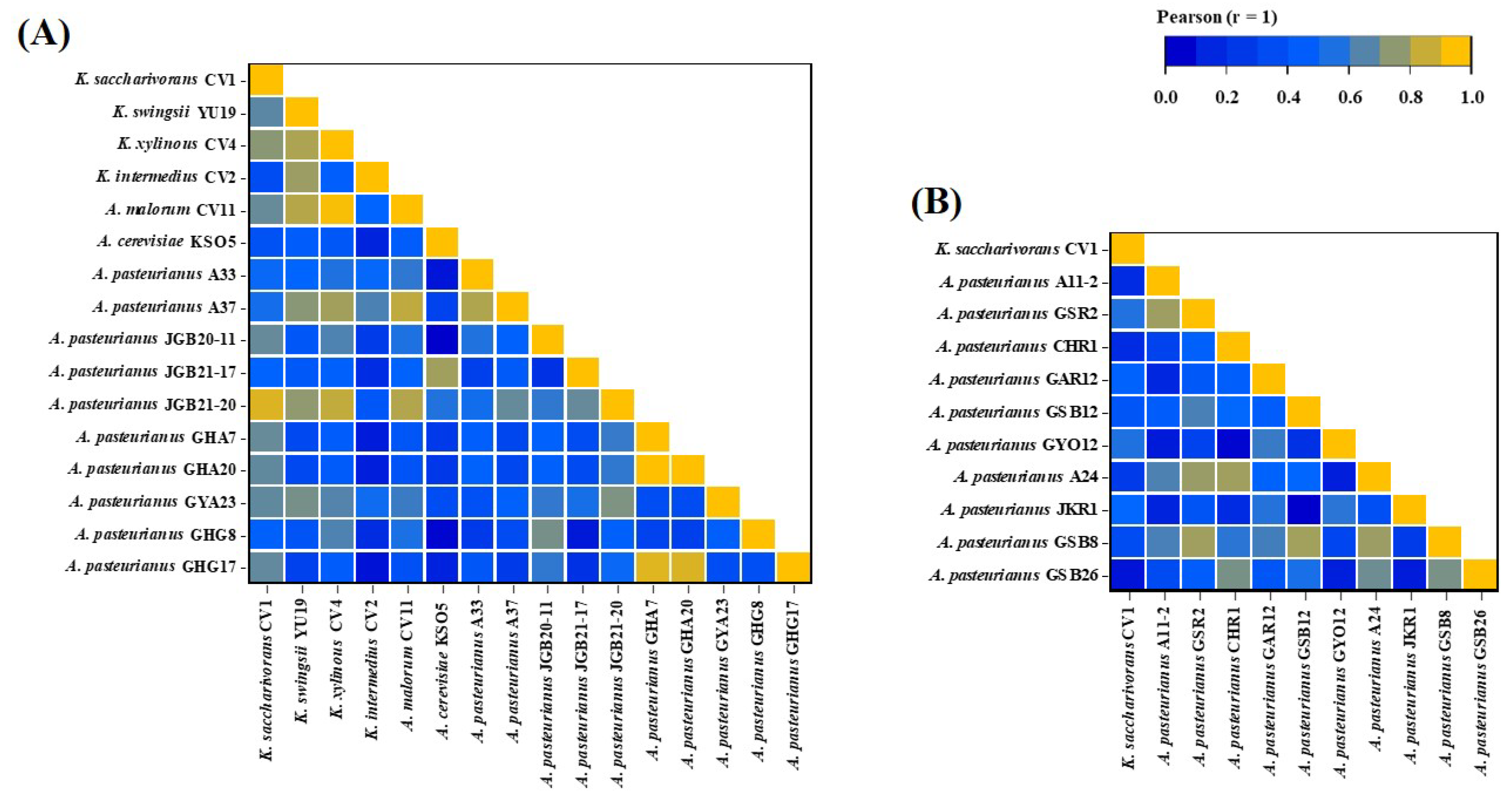 Preprints 107990 g004