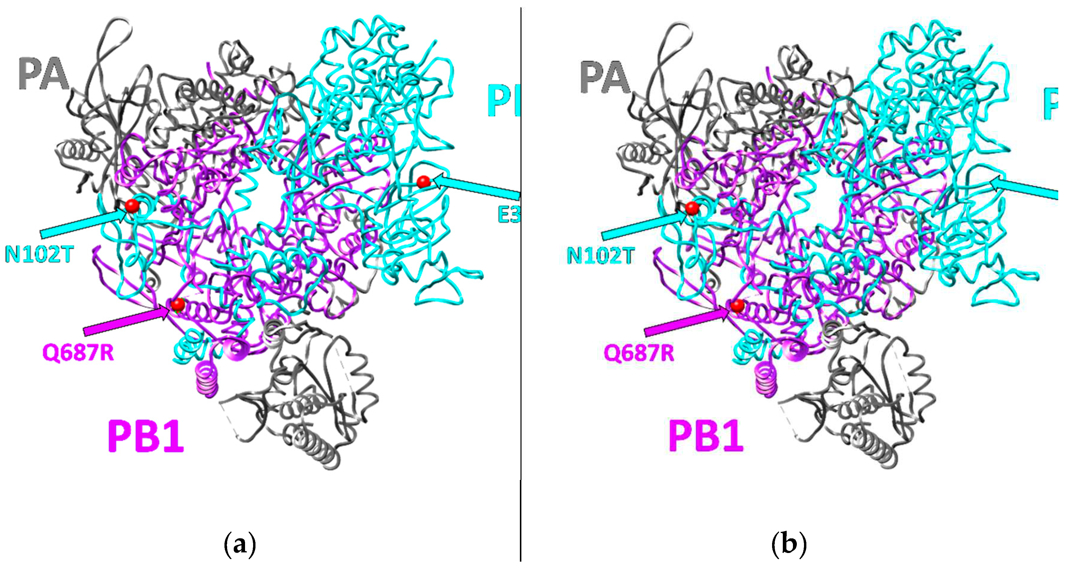 Preprints 90206 g001