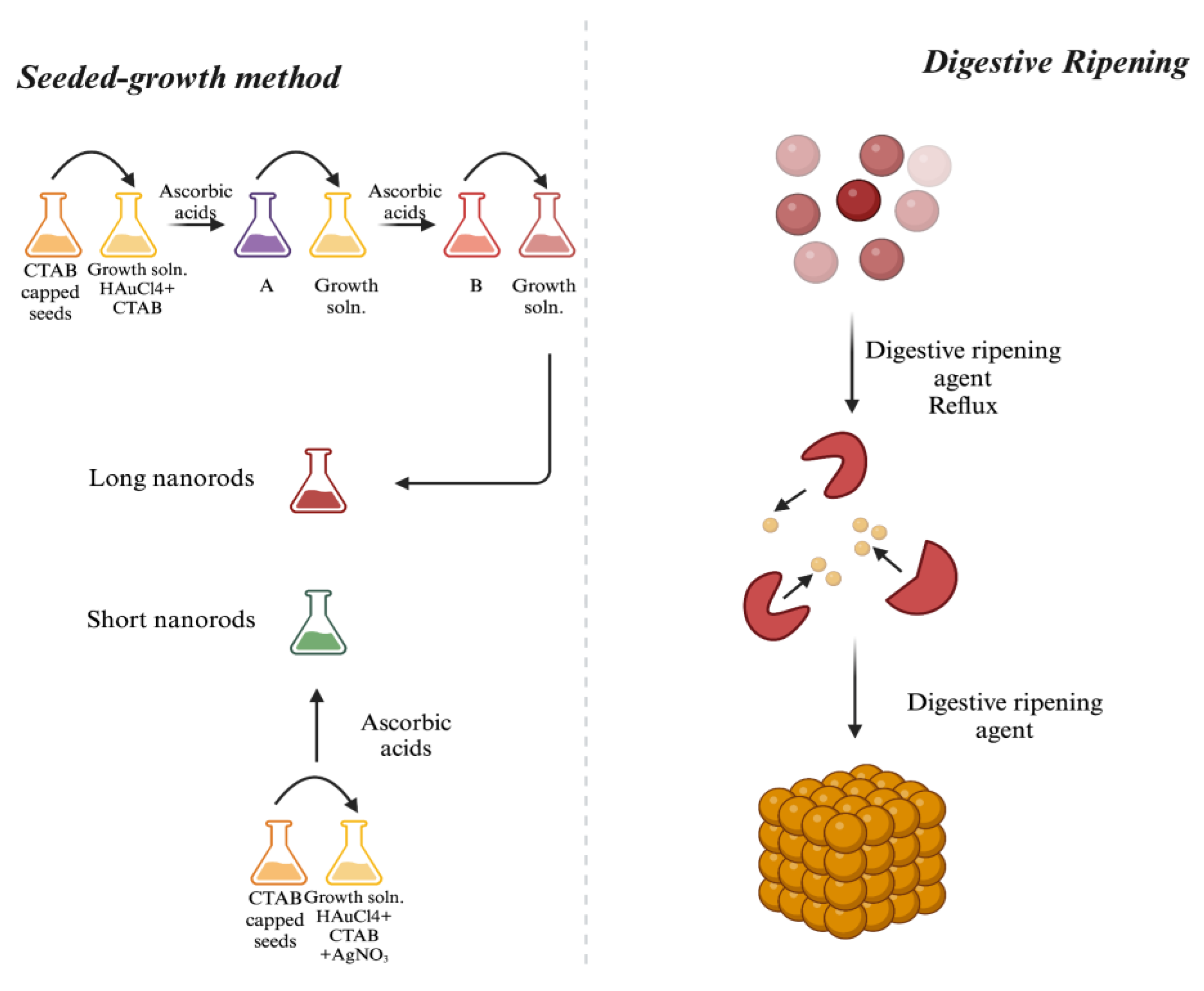 Preprints 122112 g006