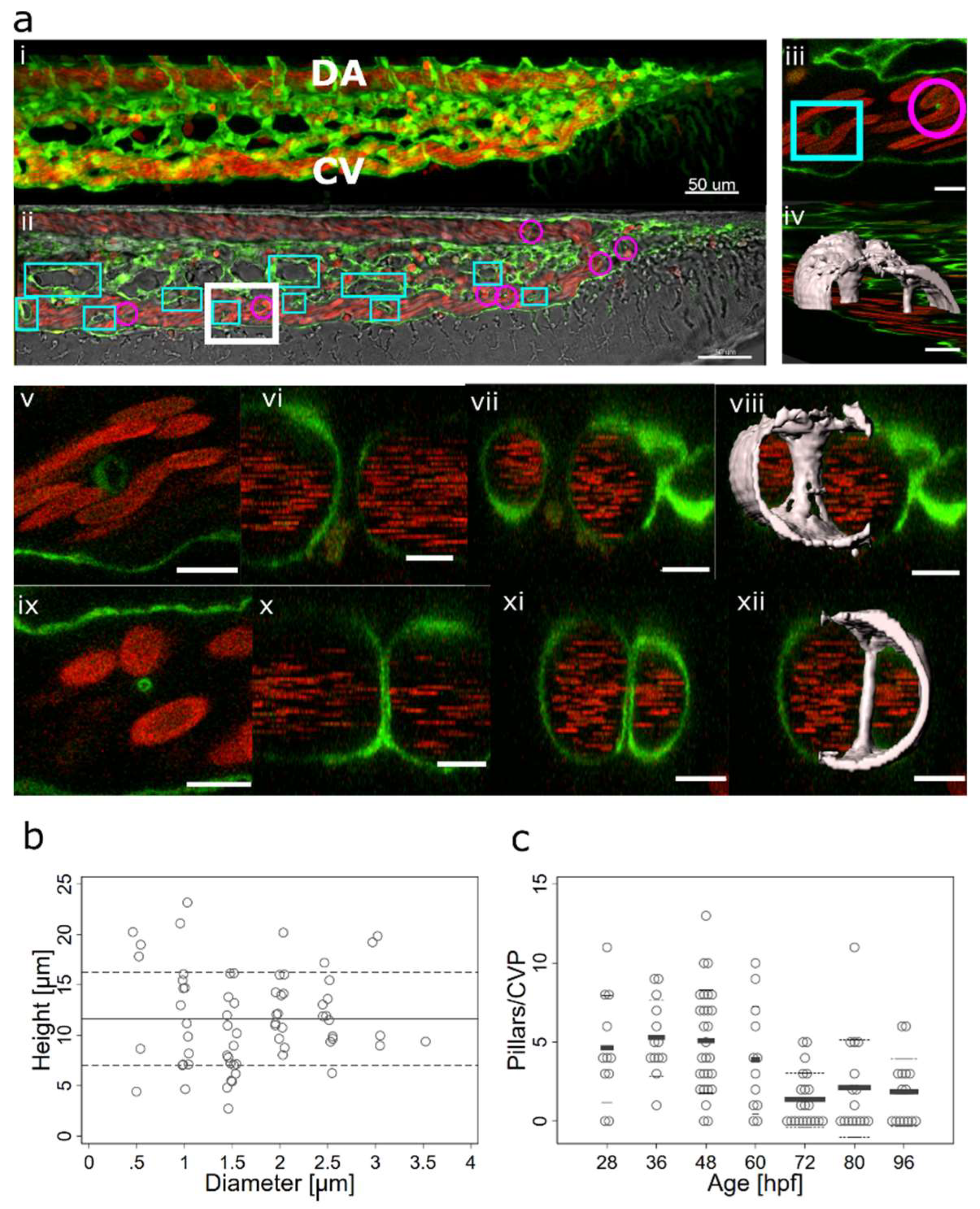 Preprints 83680 g001