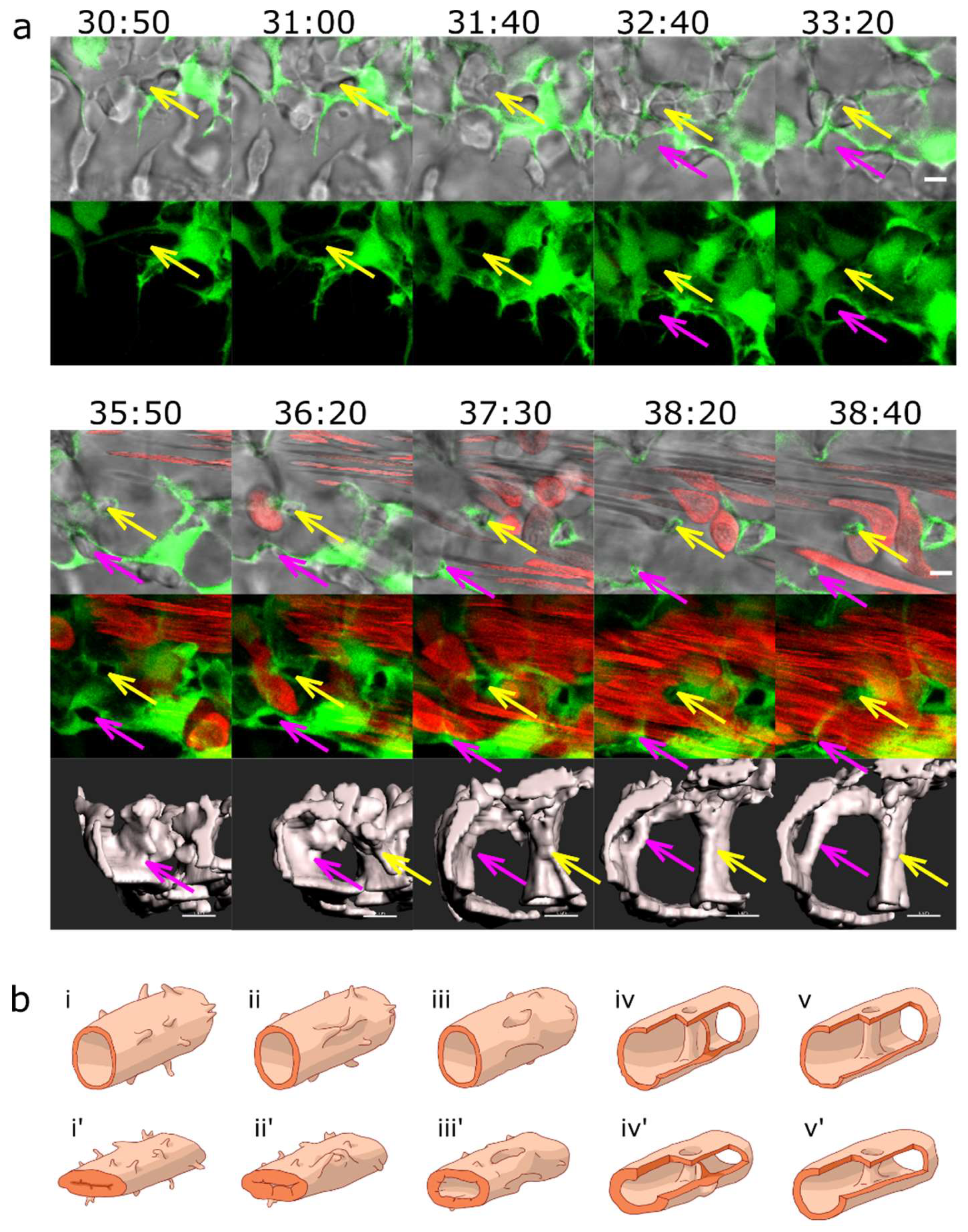 Preprints 83680 g003