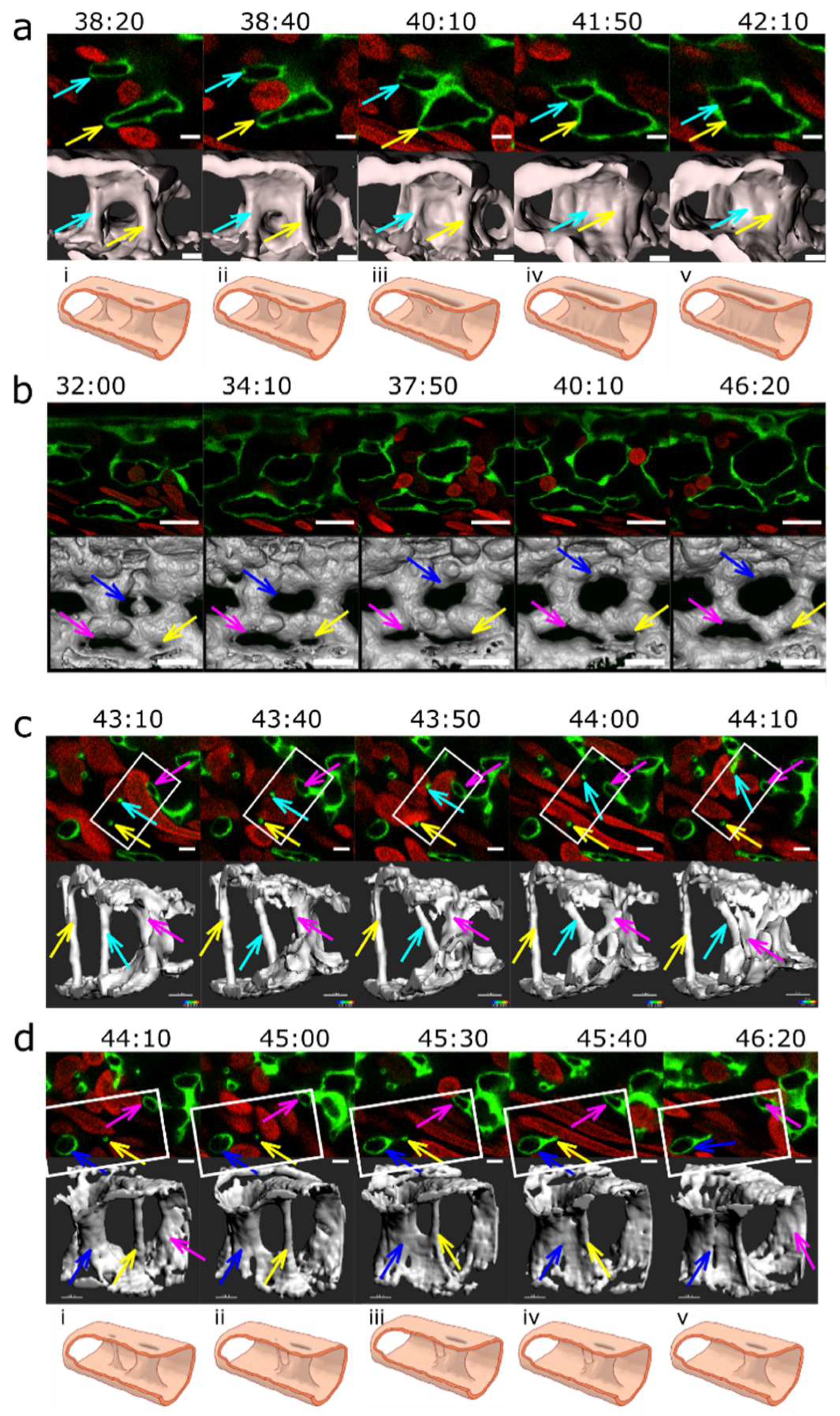 Preprints 83680 g007