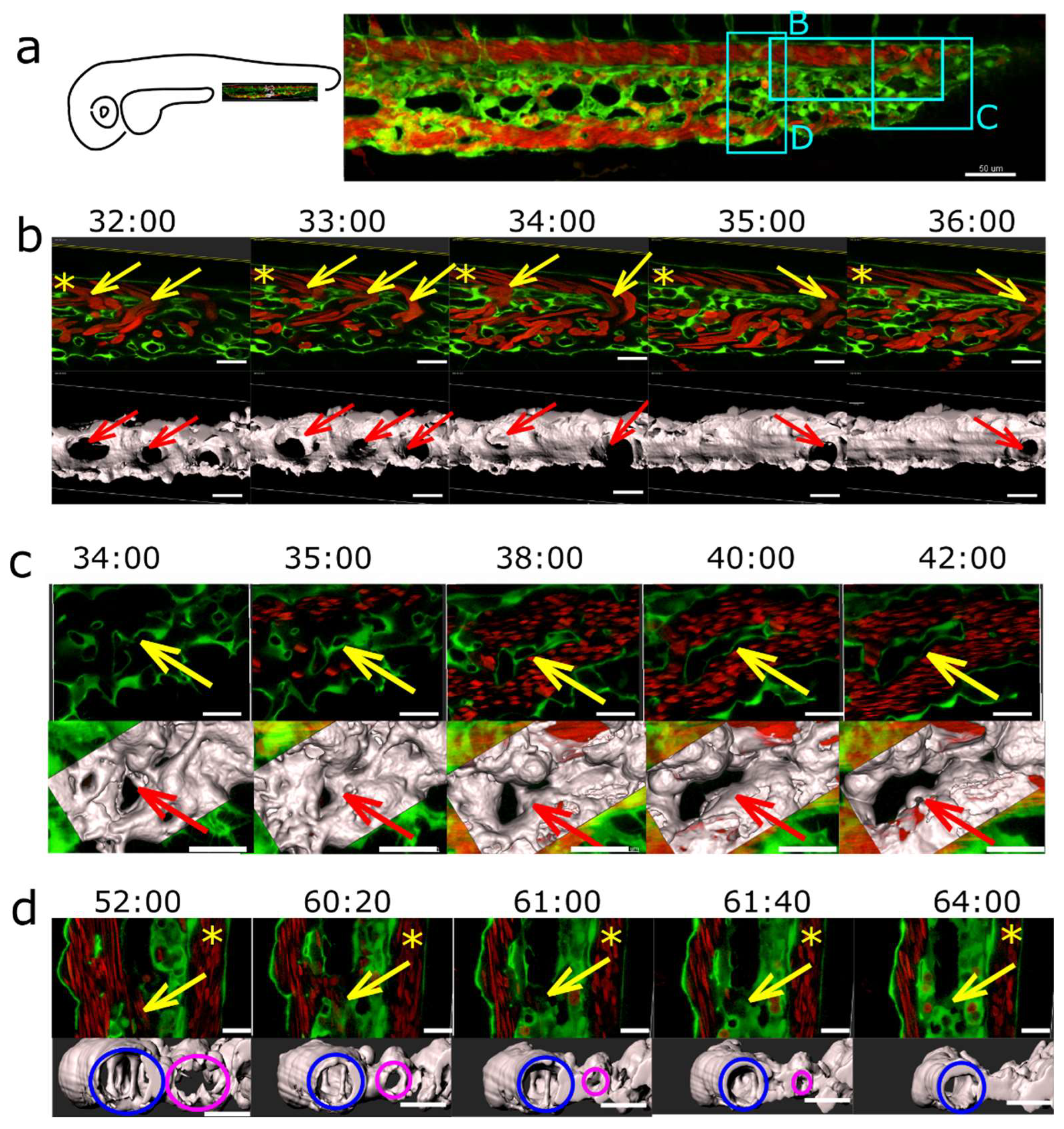 Preprints 83680 g008