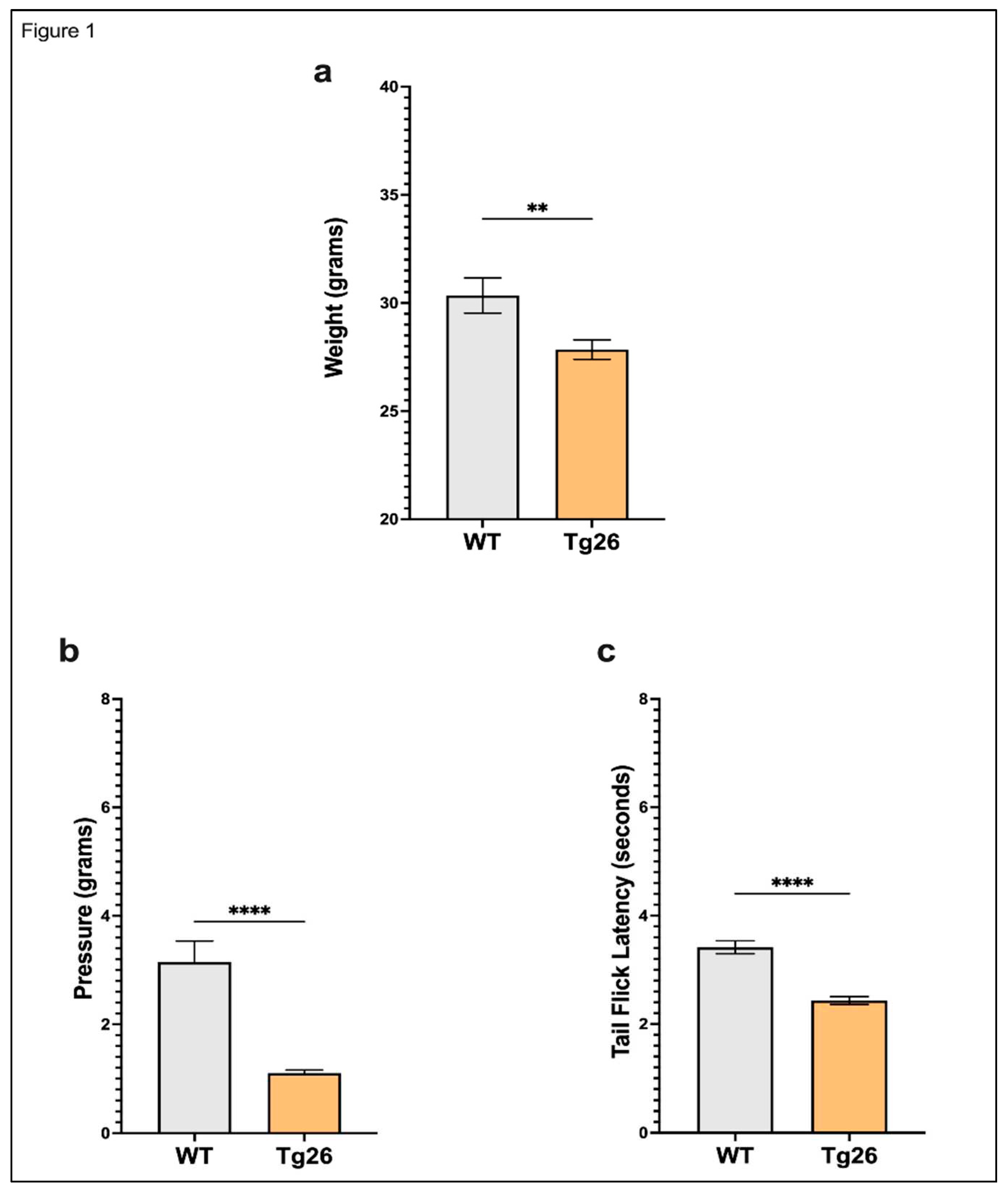 Preprints 92575 g001