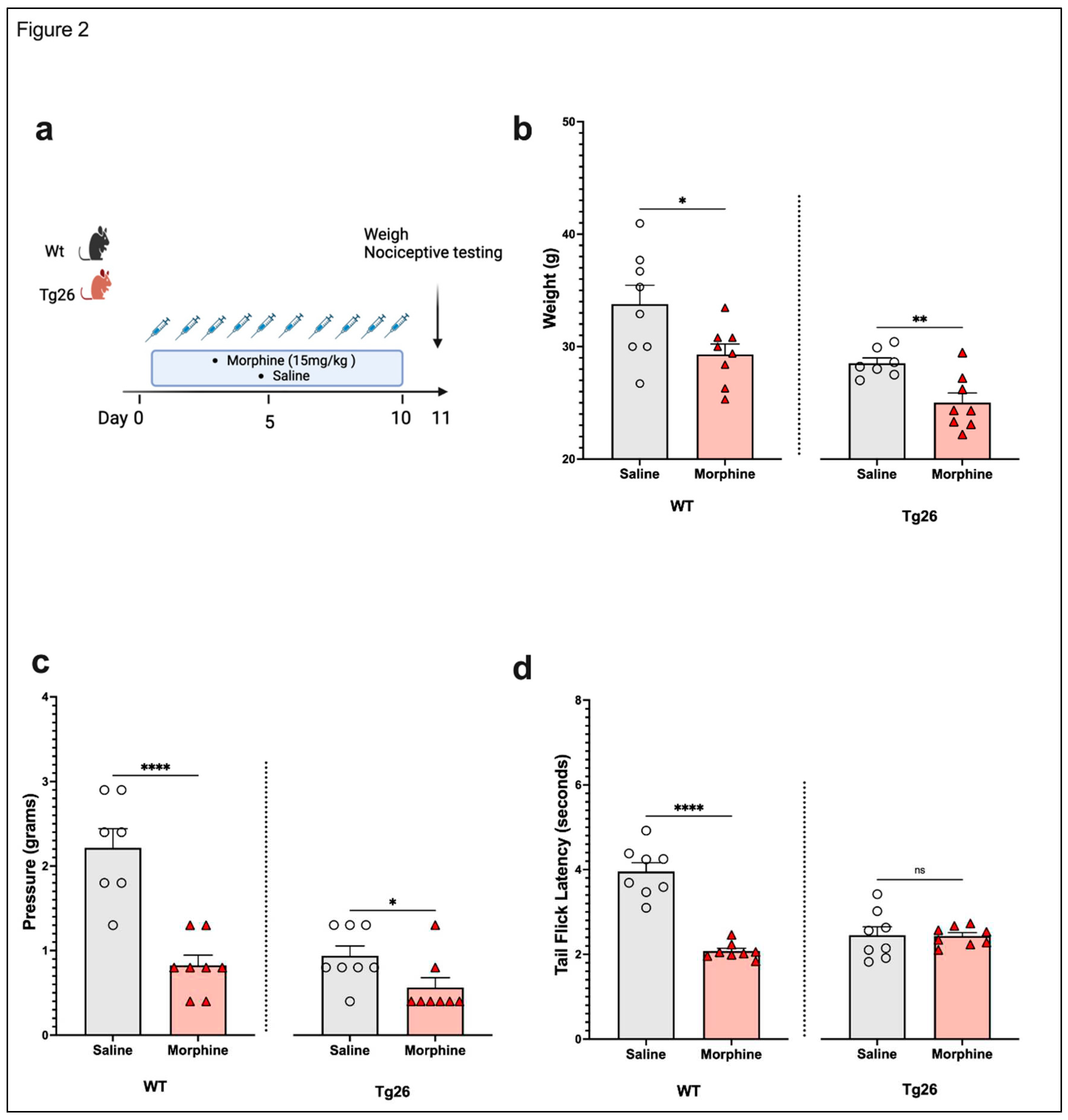 Preprints 92575 g002