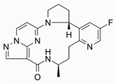 Preprints 76037 i008