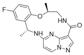 Preprints 76037 i009