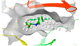 Preprints 76037 i025