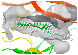 Preprints 76037 i034