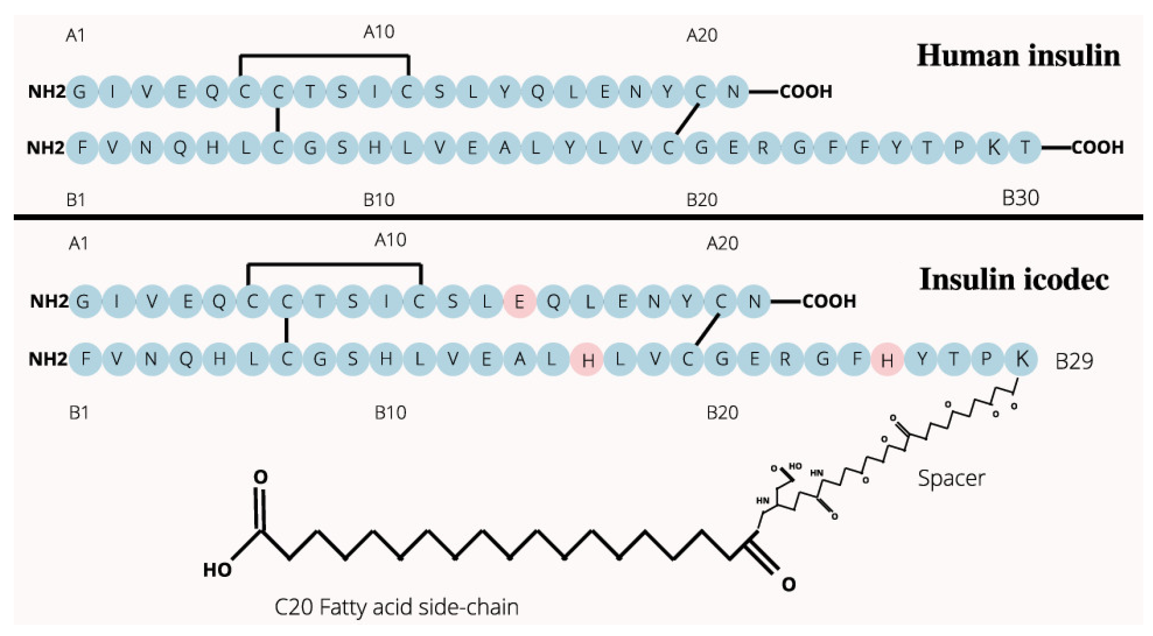 Preprints 105152 g001