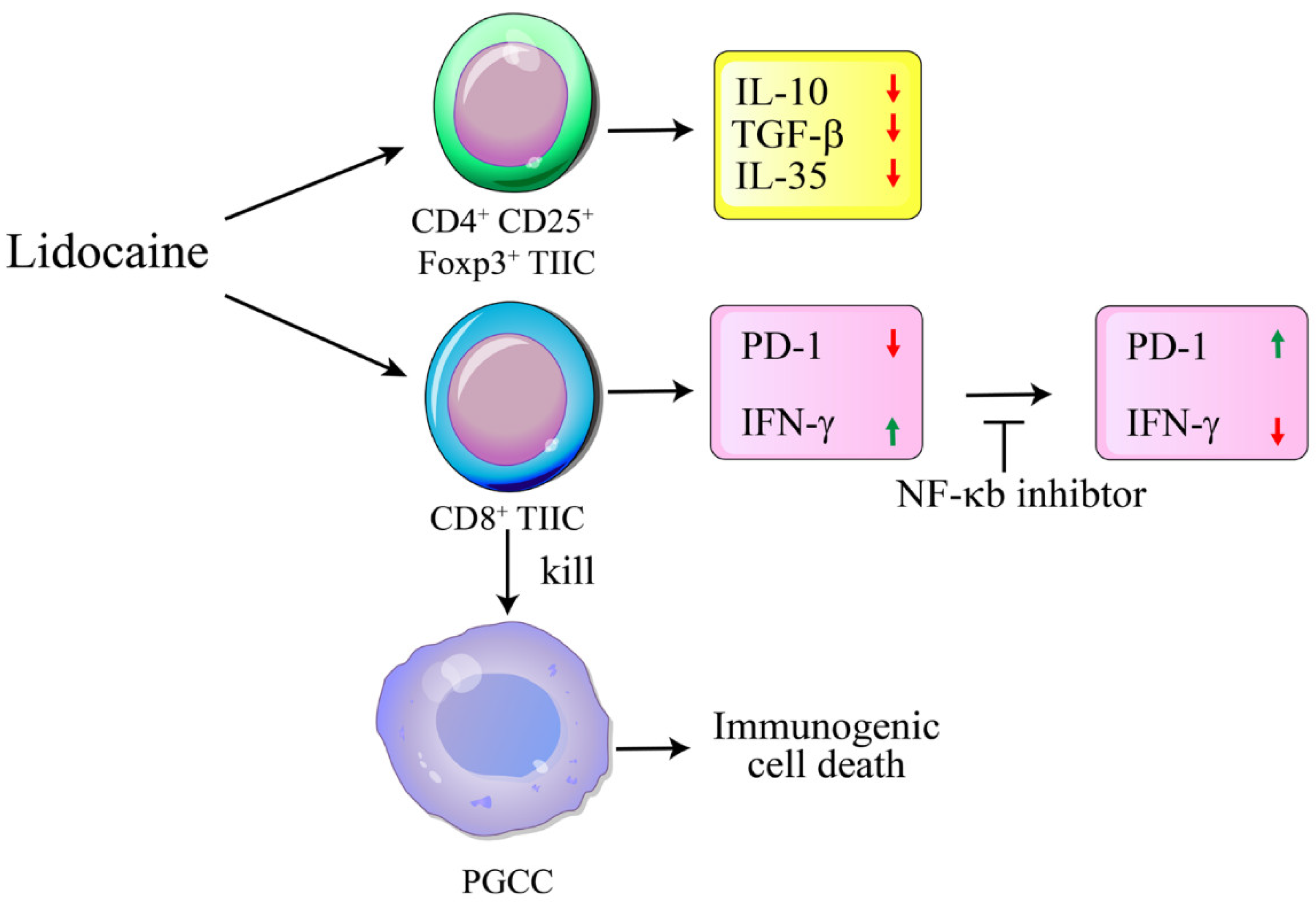 Preprints 120923 g010