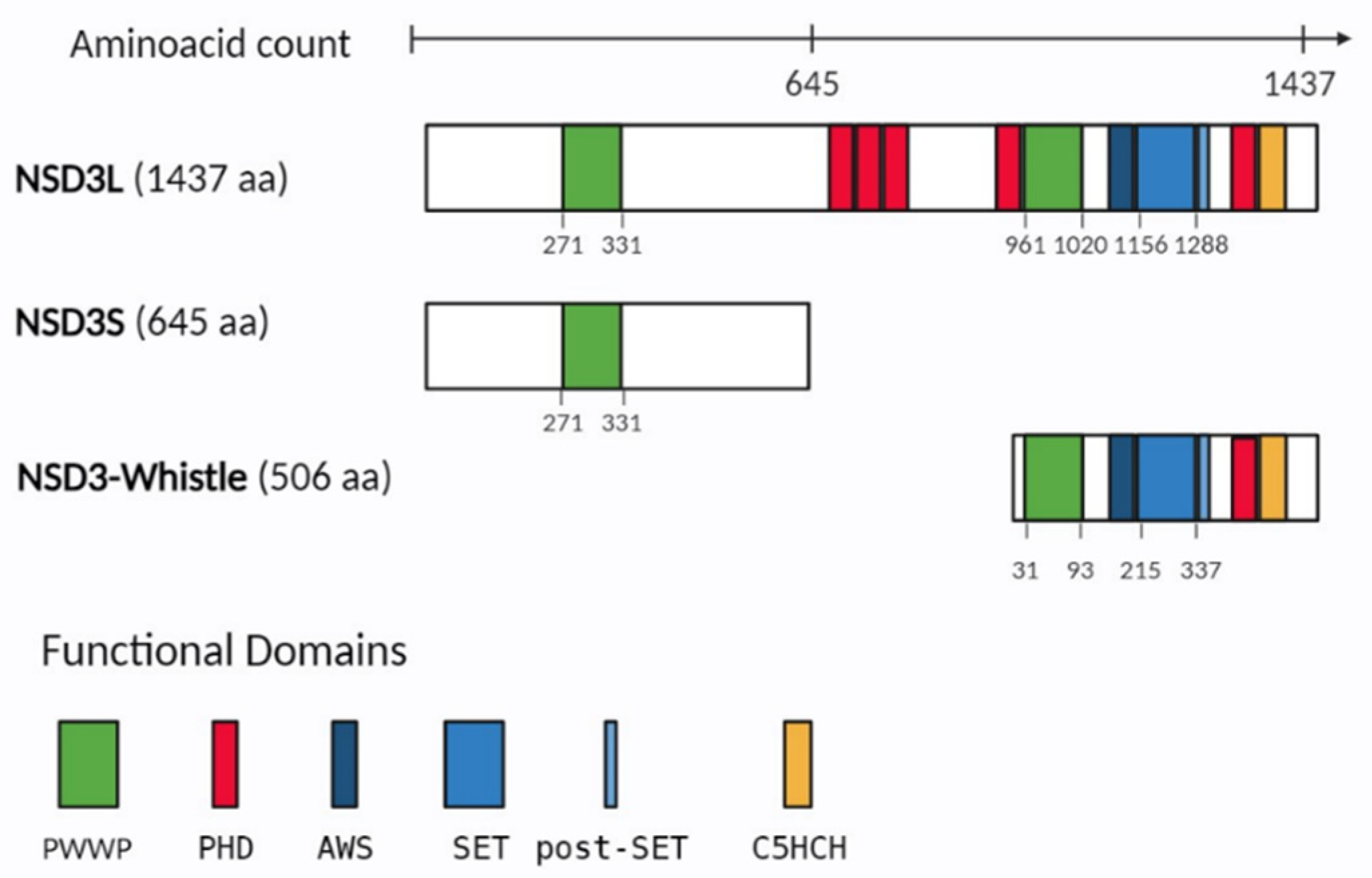 Preprints 93967 g001