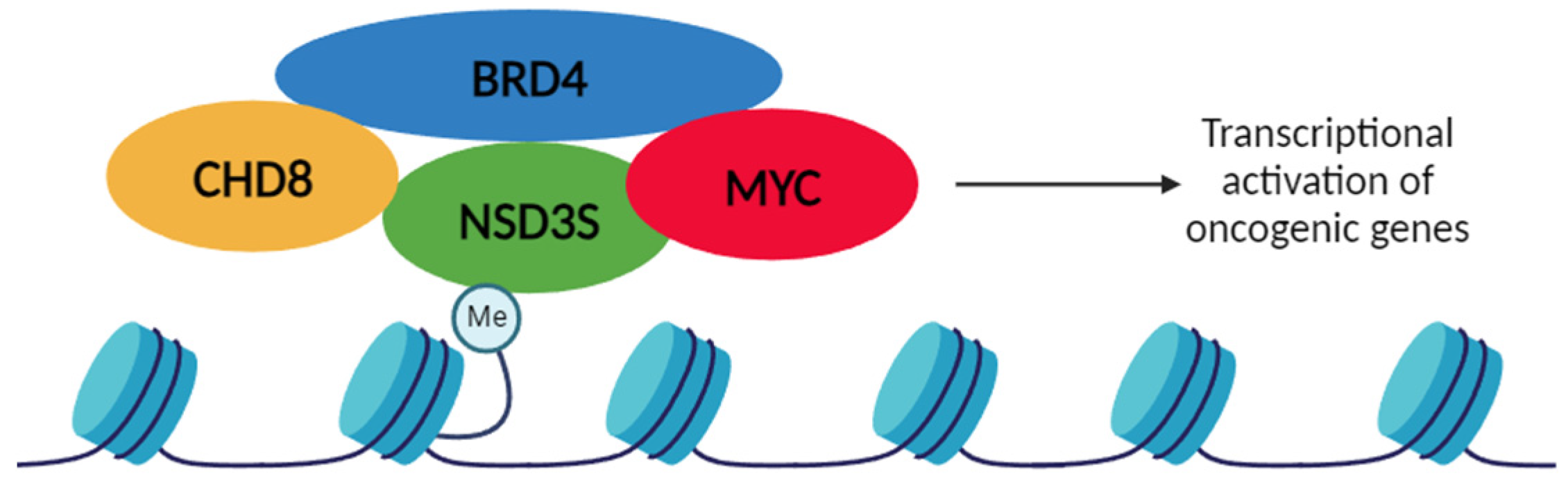 Preprints 93967 g003