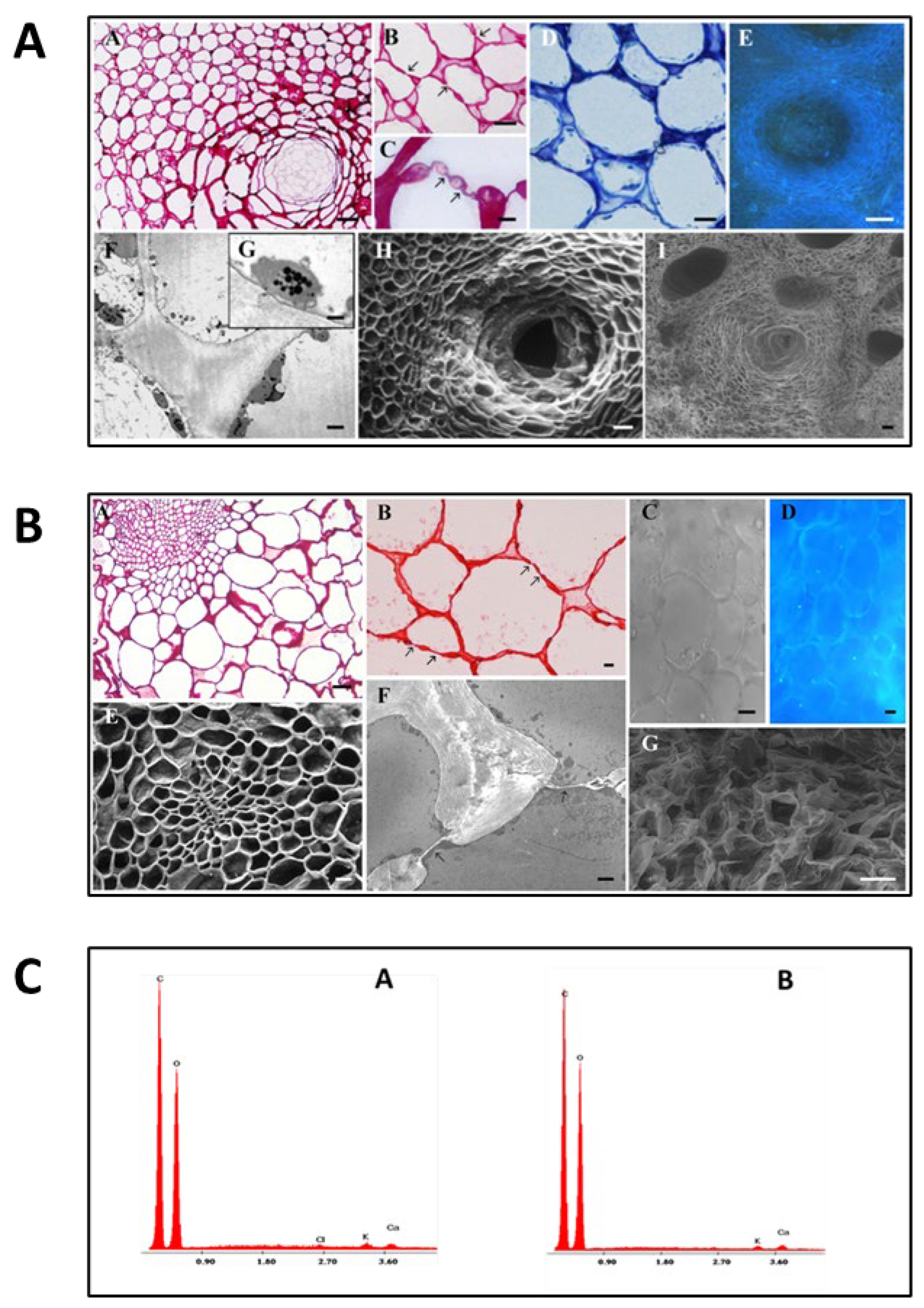 Preprints 118429 g001