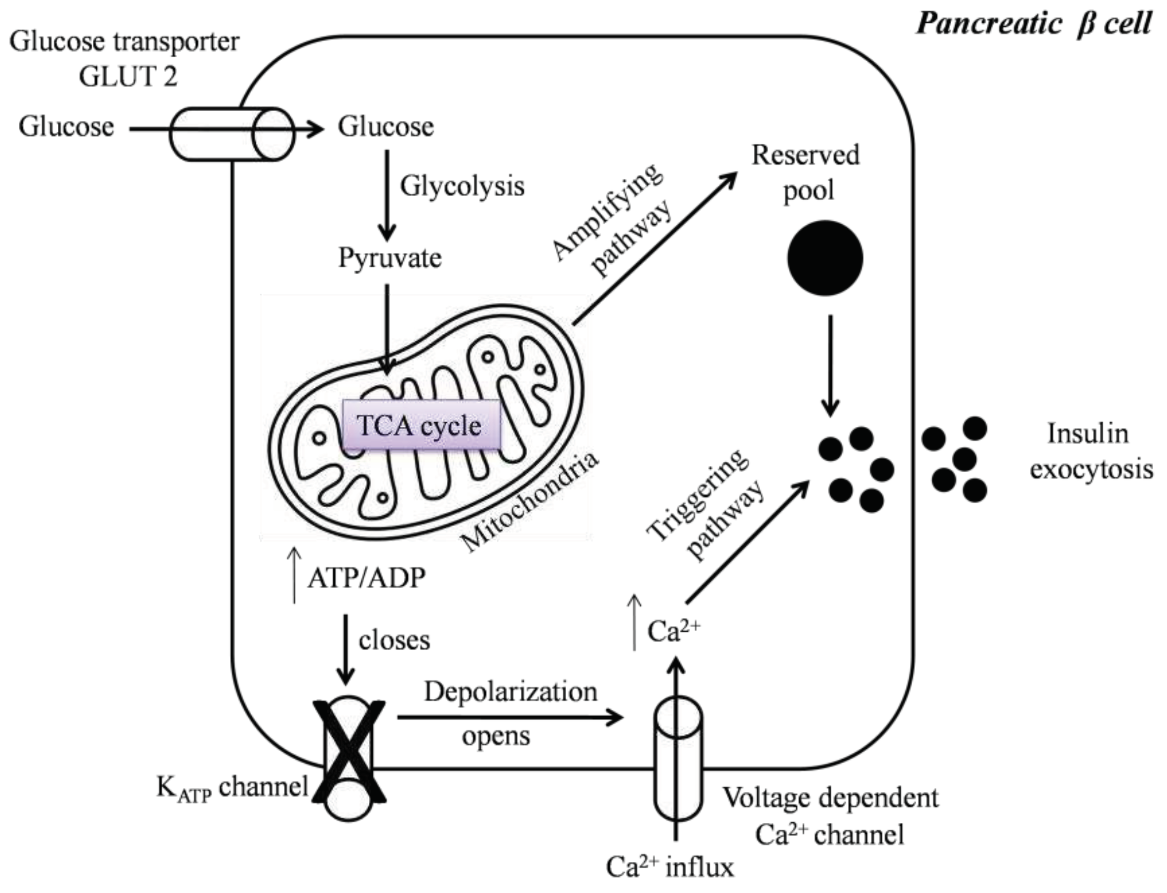 Preprints 81811 g001