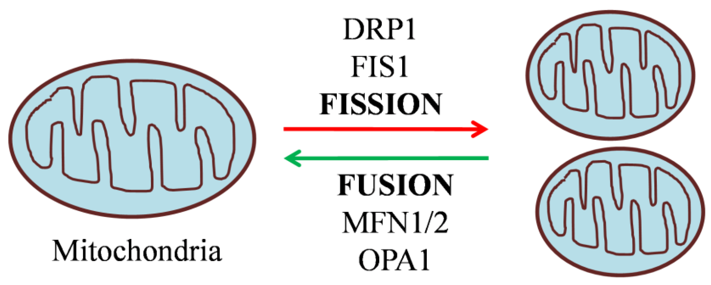 Preprints 81811 g002