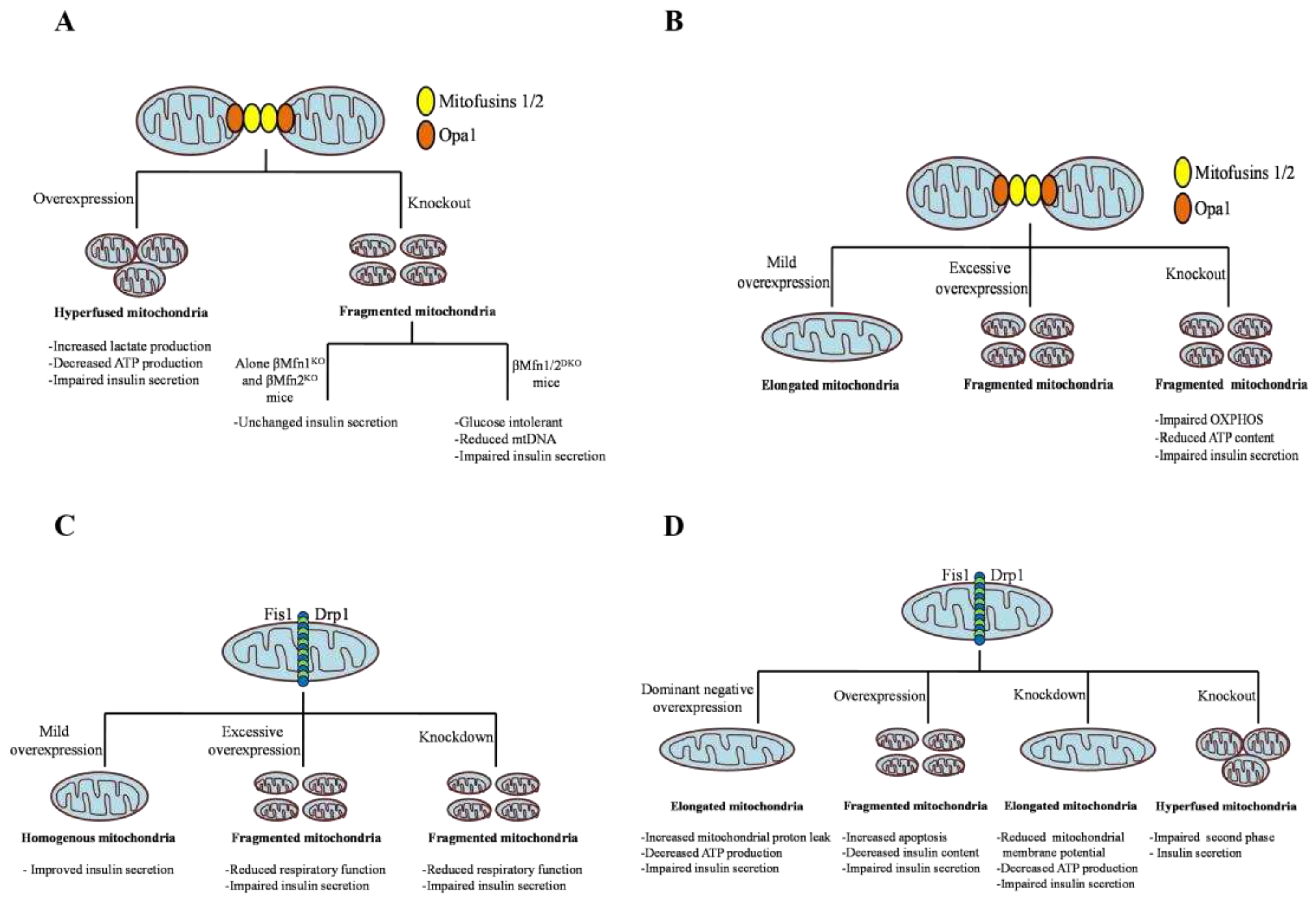 Preprints 81811 g003