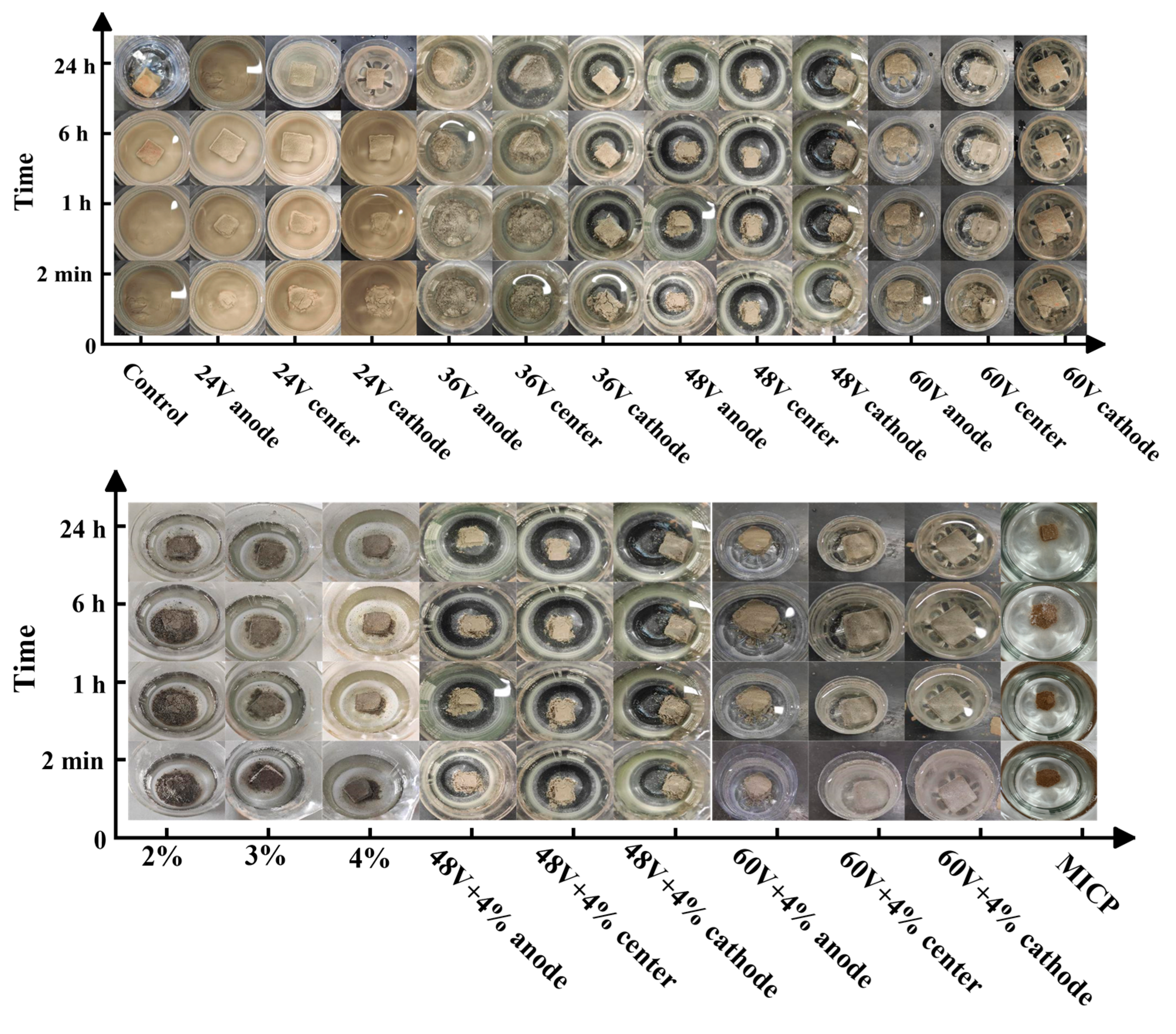 Preprints 121865 g005