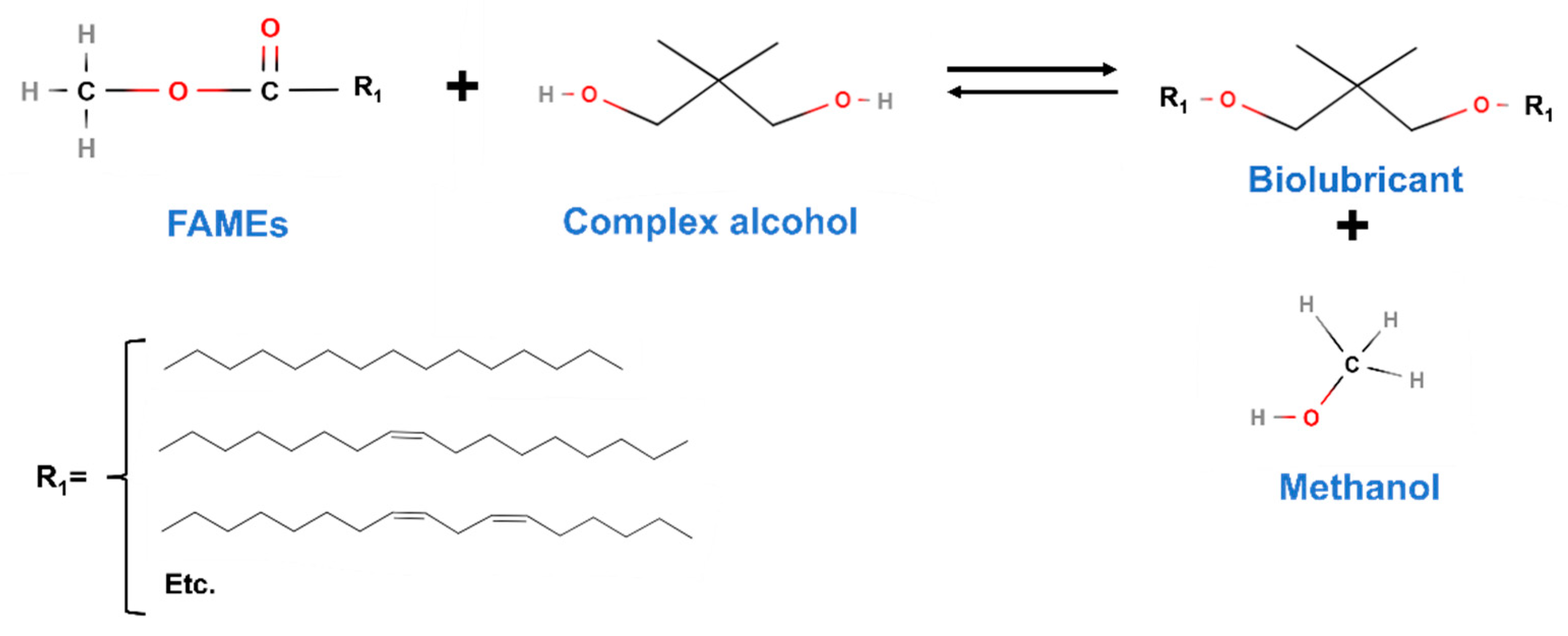 Preprints 82811 g011