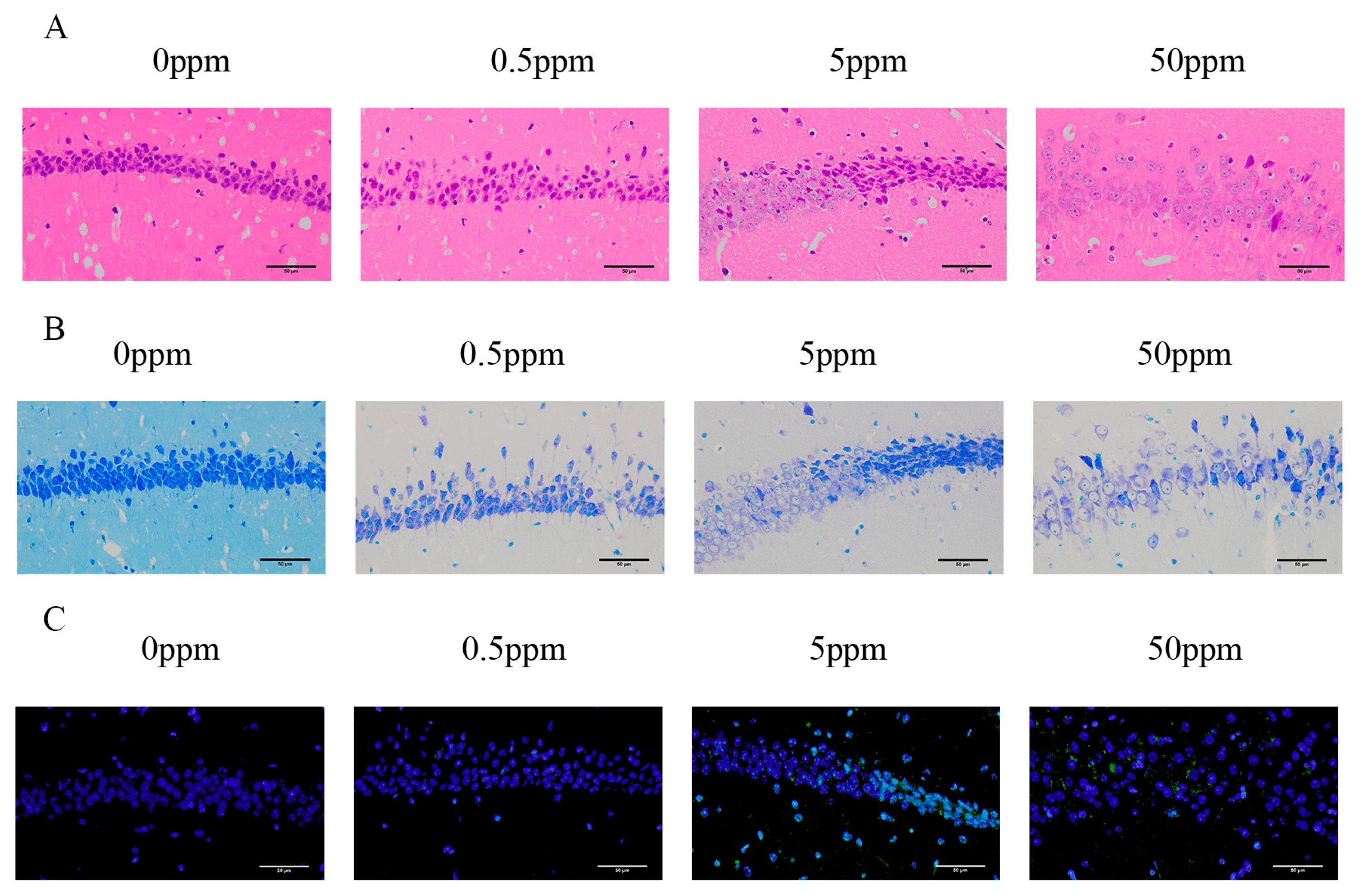 Preprints 105058 g001