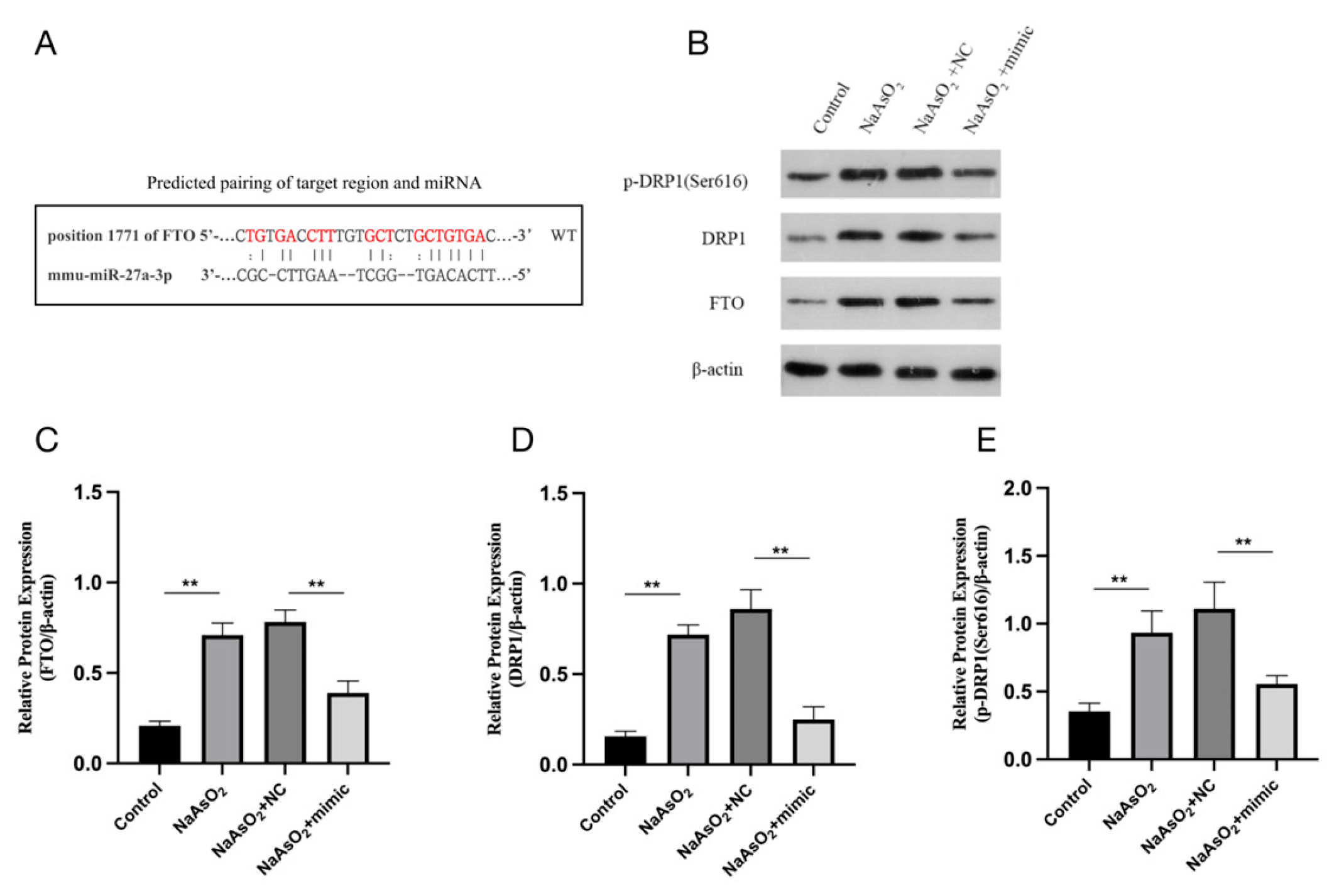 Preprints 105058 g003