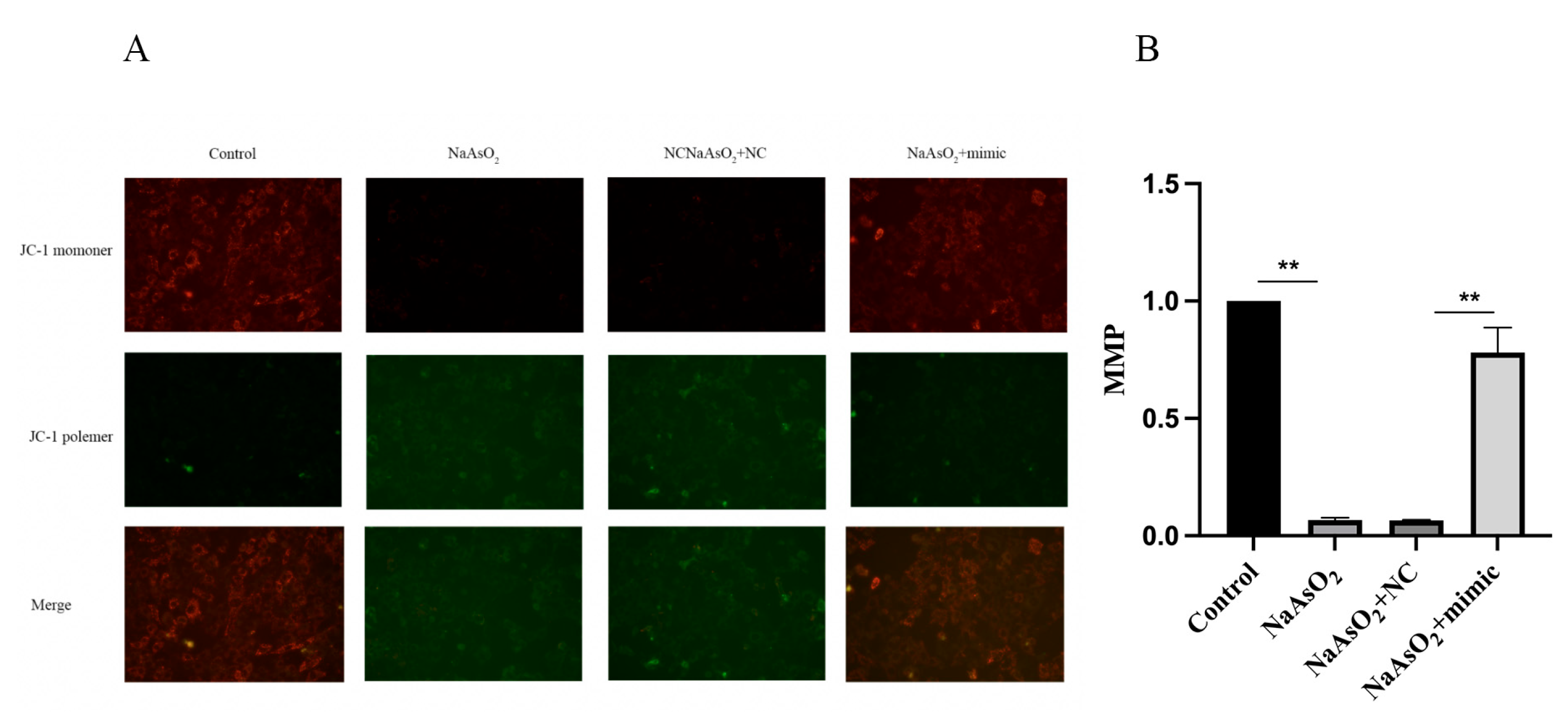 Preprints 105058 g005