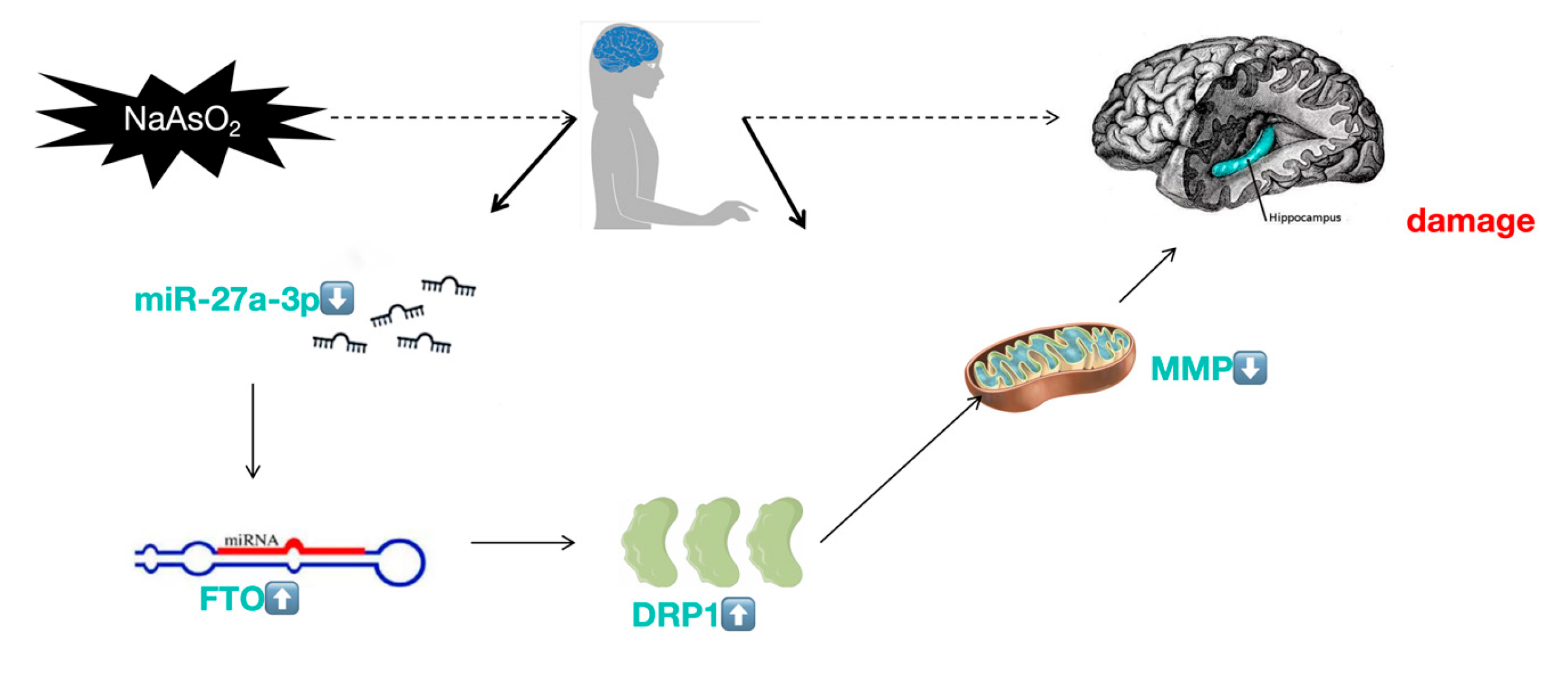 Preprints 105058 g006