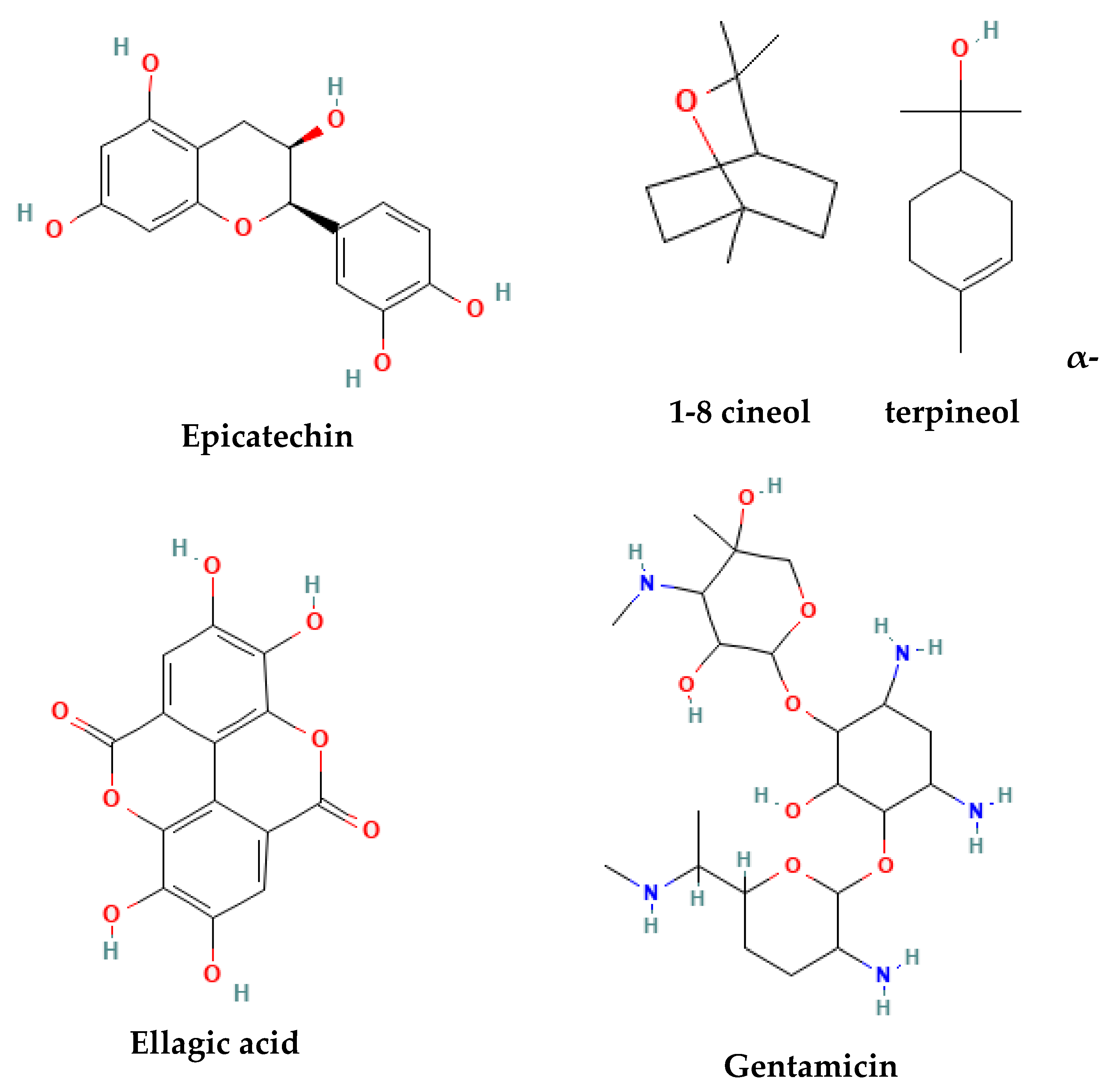 Preprints 80638 g003a