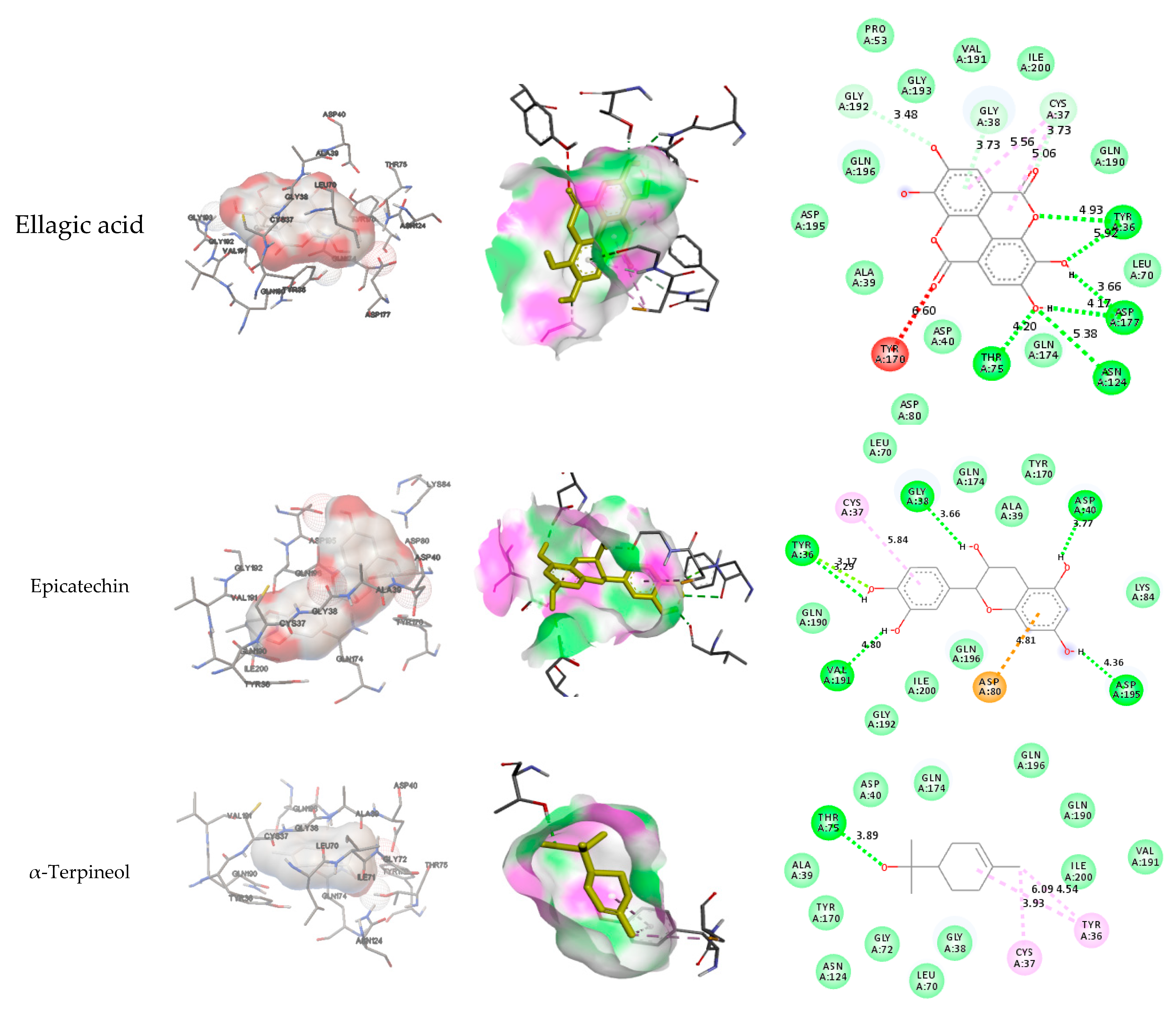 Preprints 80638 g006a