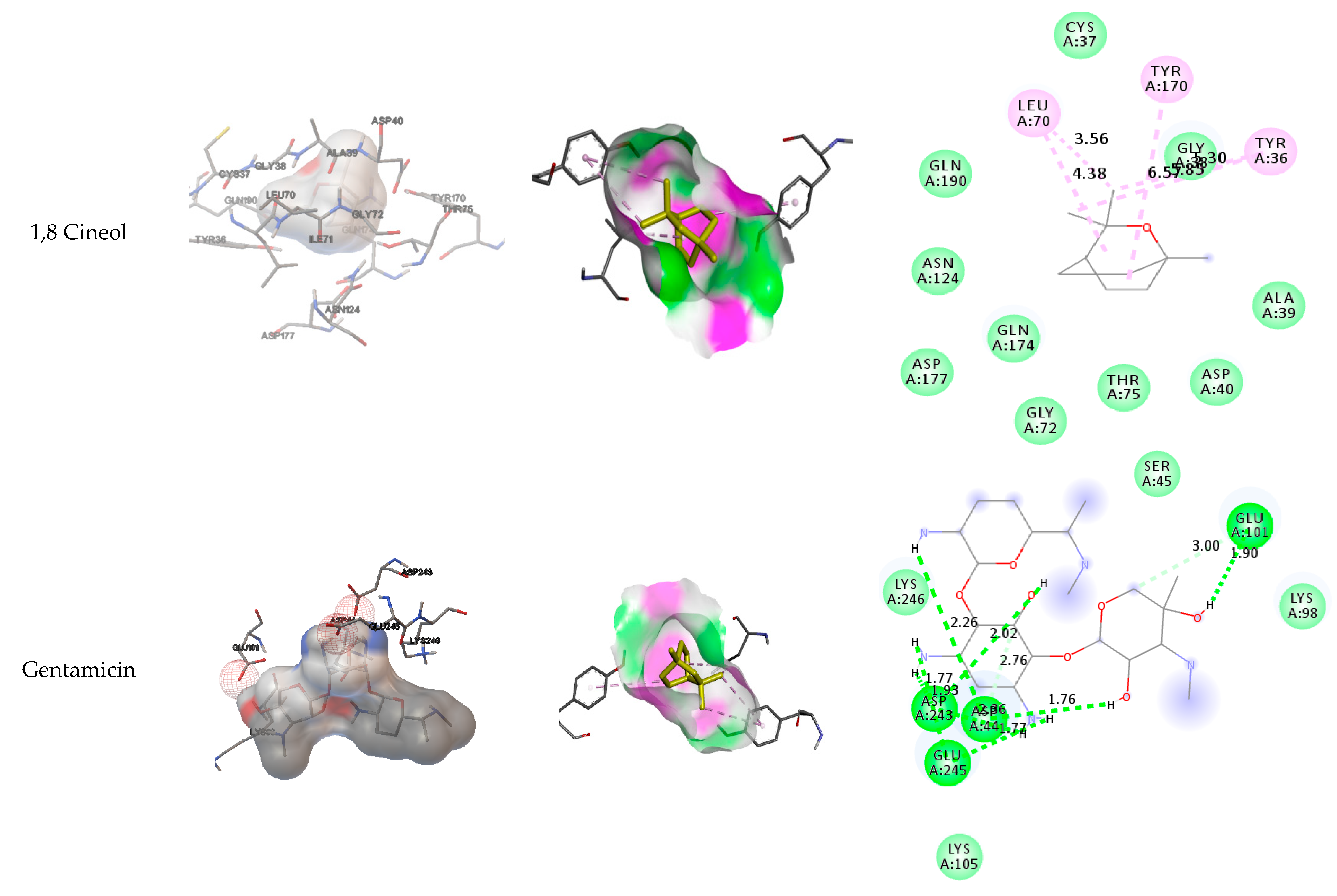 Preprints 80638 g006b