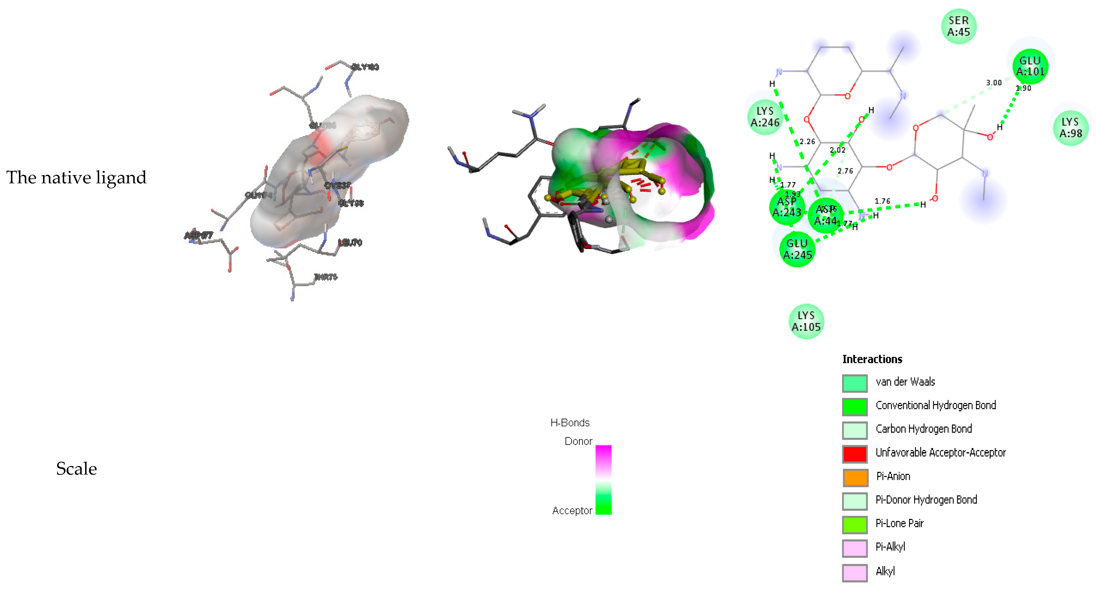 Preprints 80638 g006c