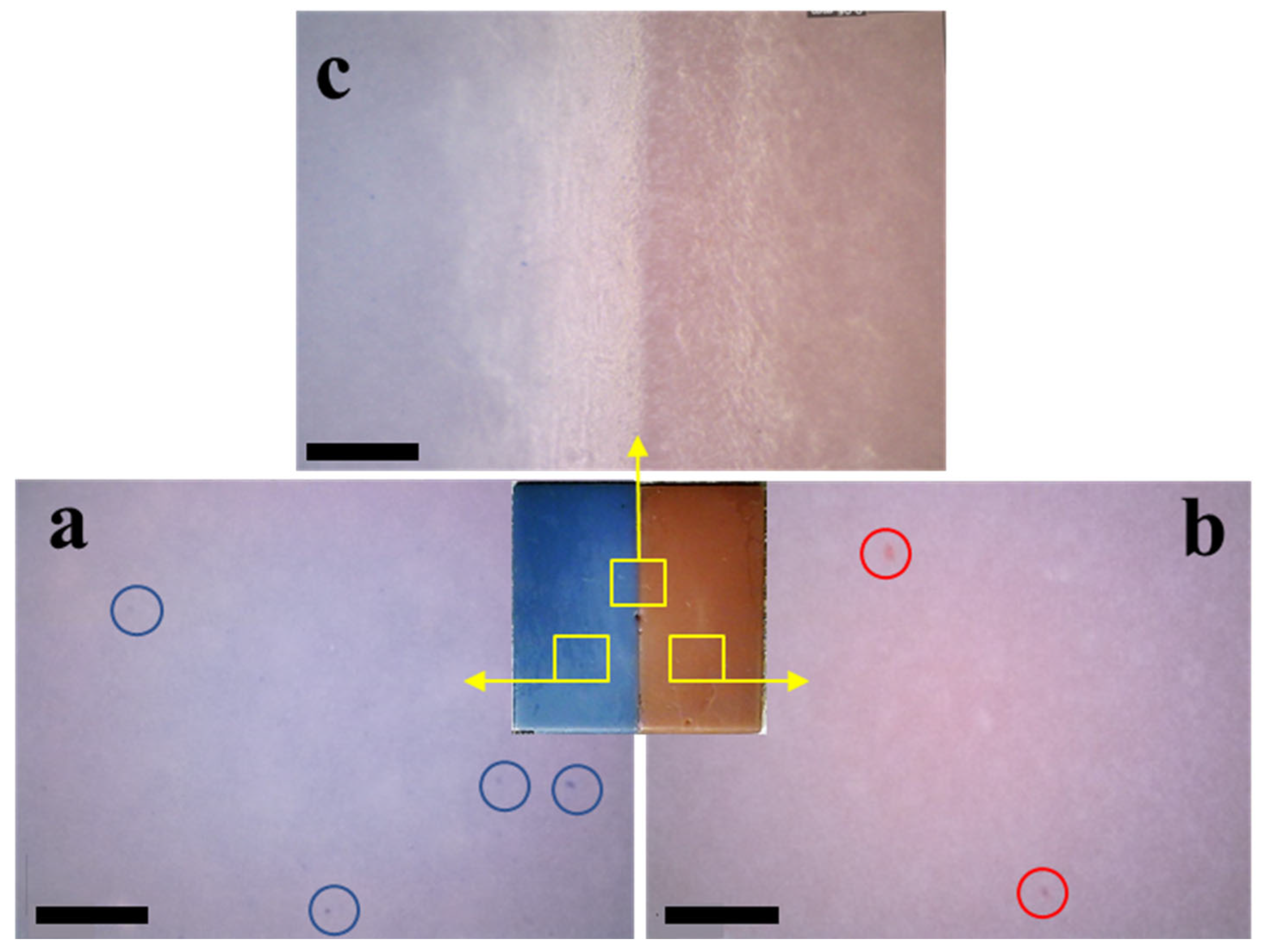 Preprints 90278 g007