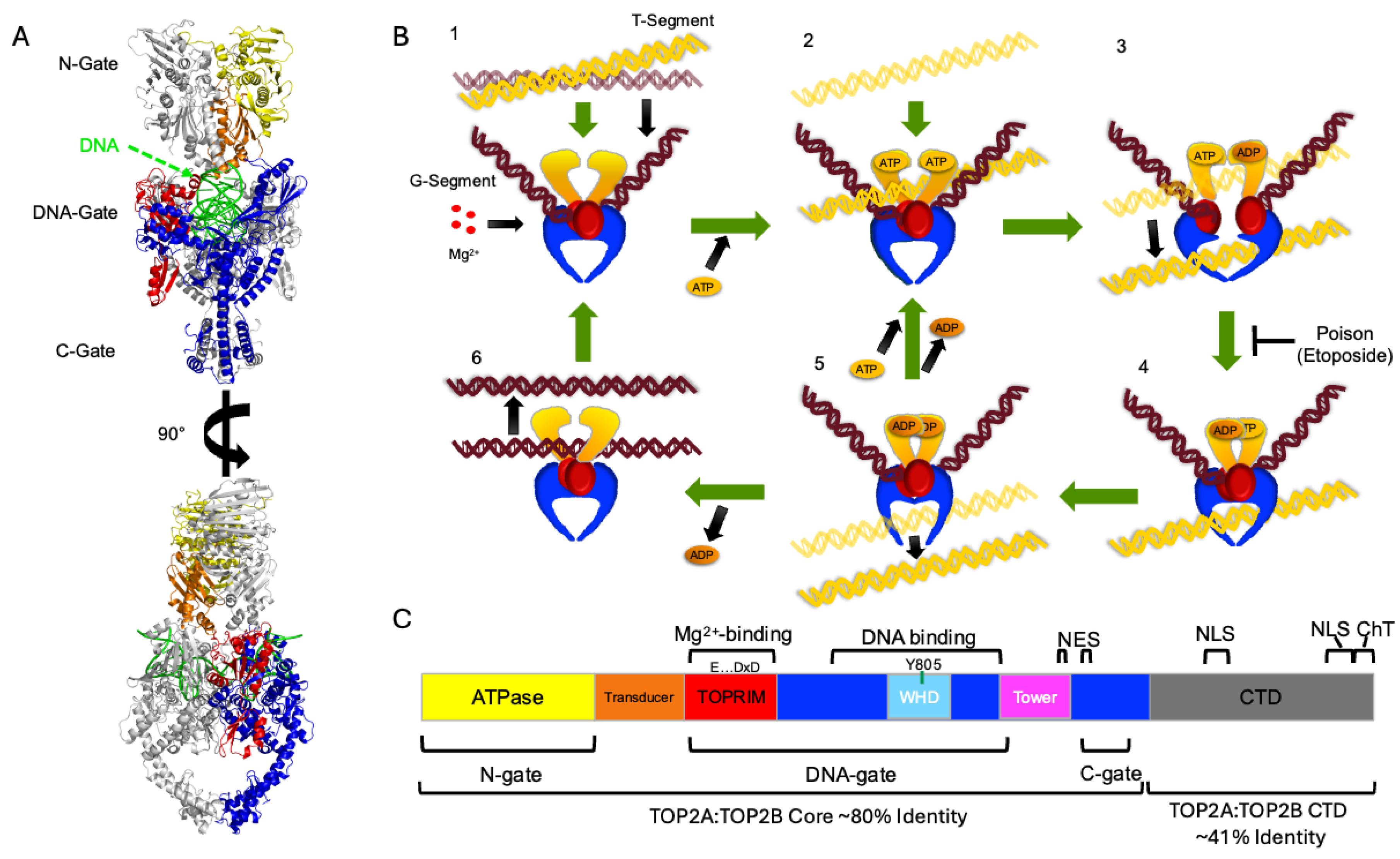 Preprints 102345 g001