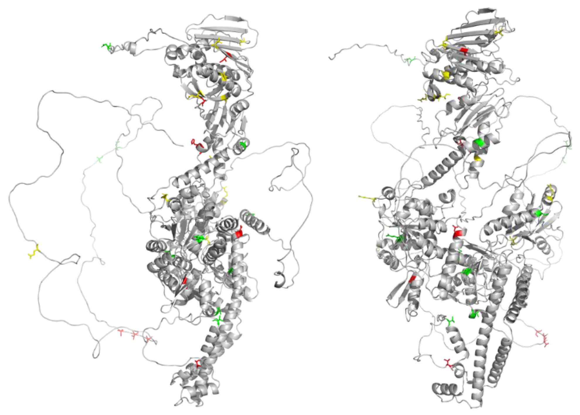 Preprints 102345 g004