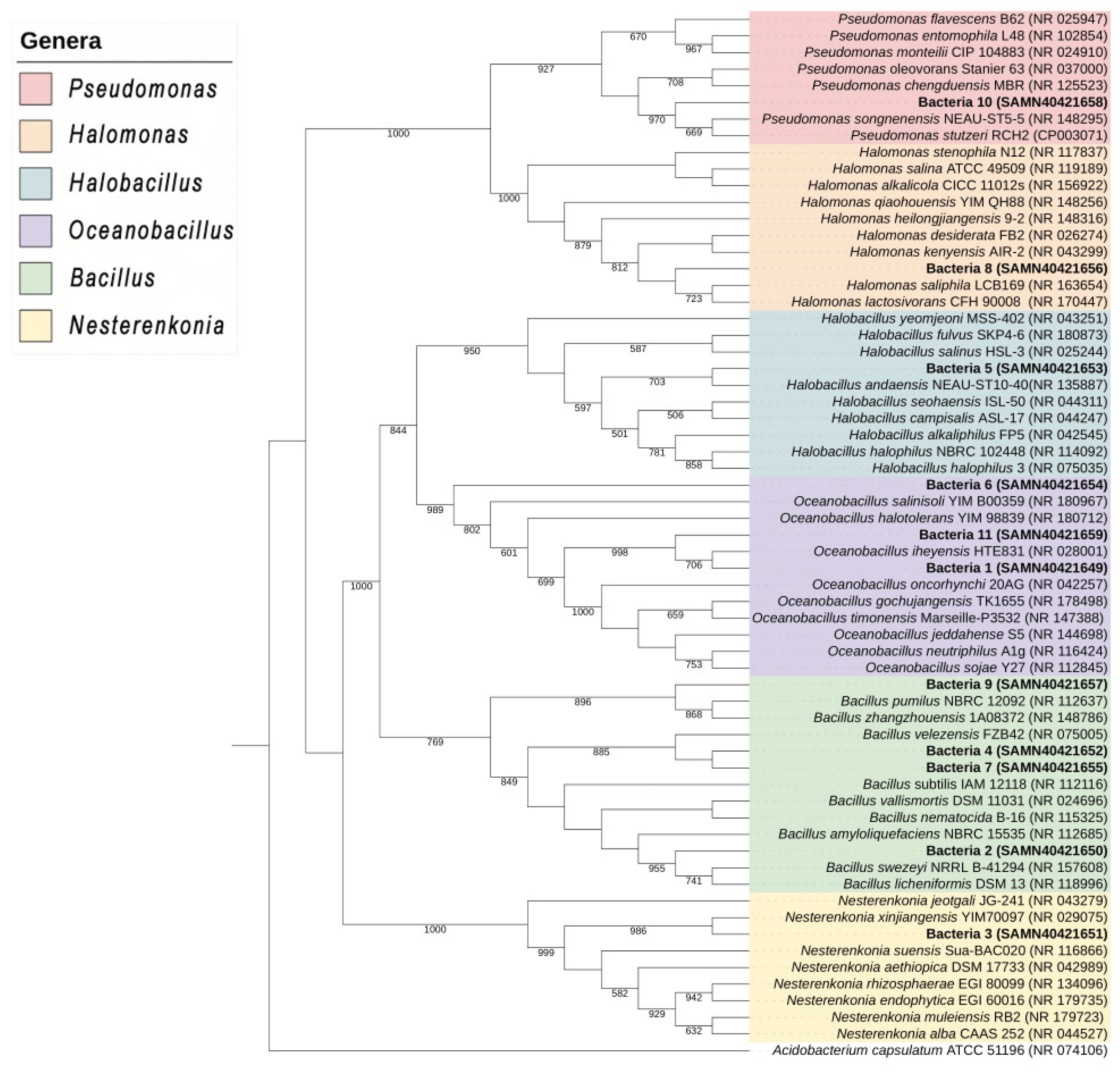 Preprints 101871 g001