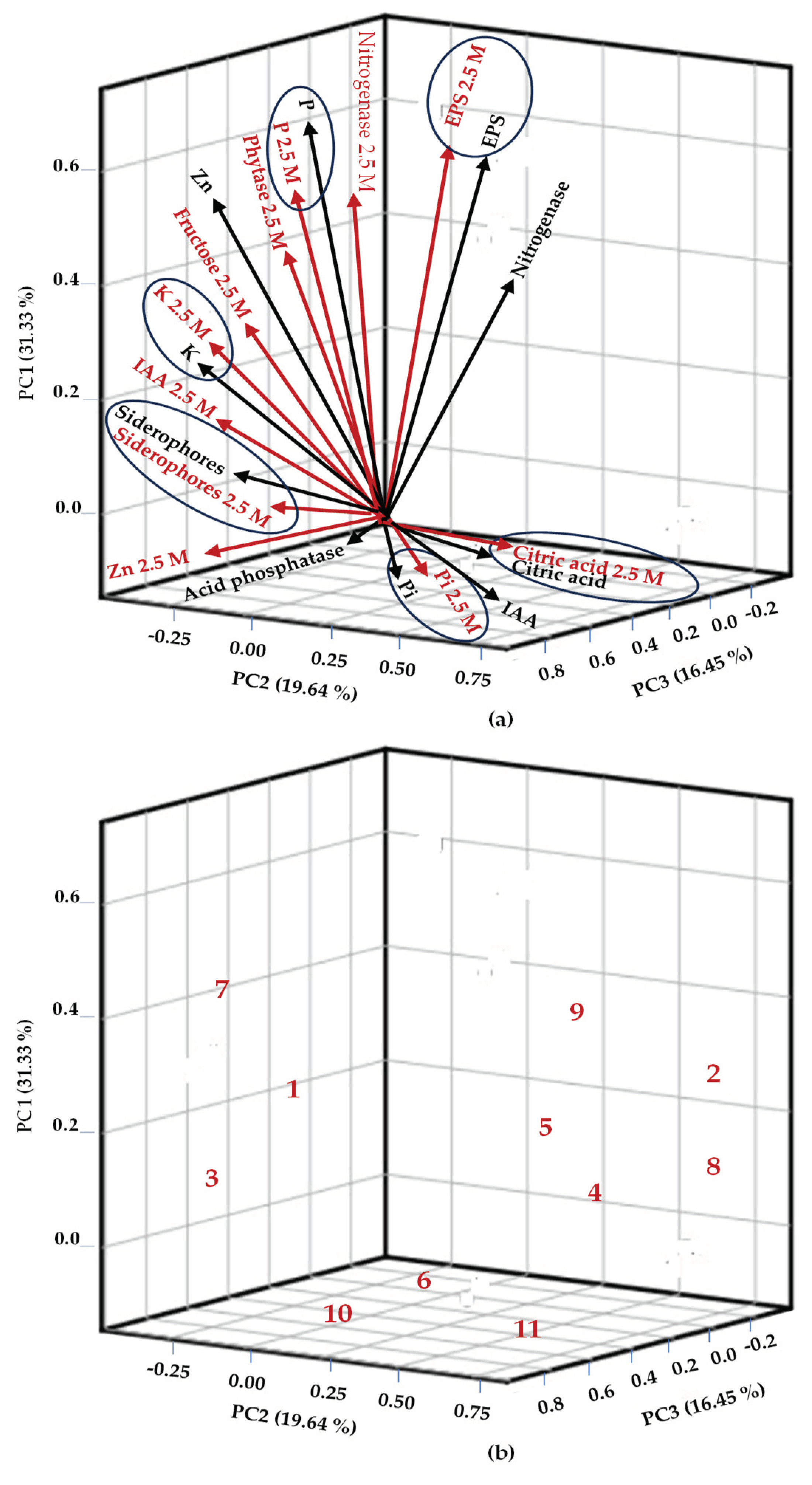 Preprints 101871 g007