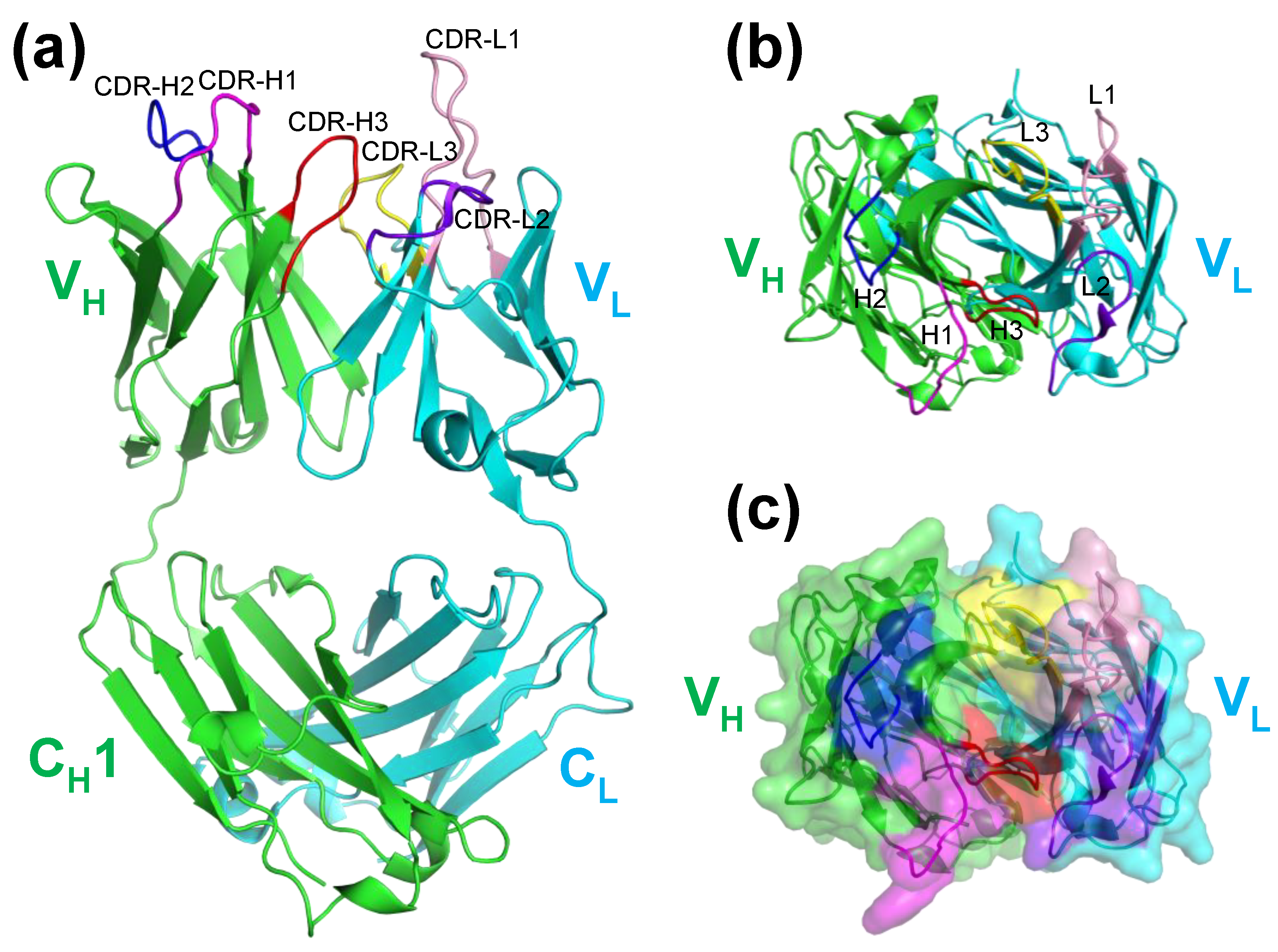 Preprints 120877 g001