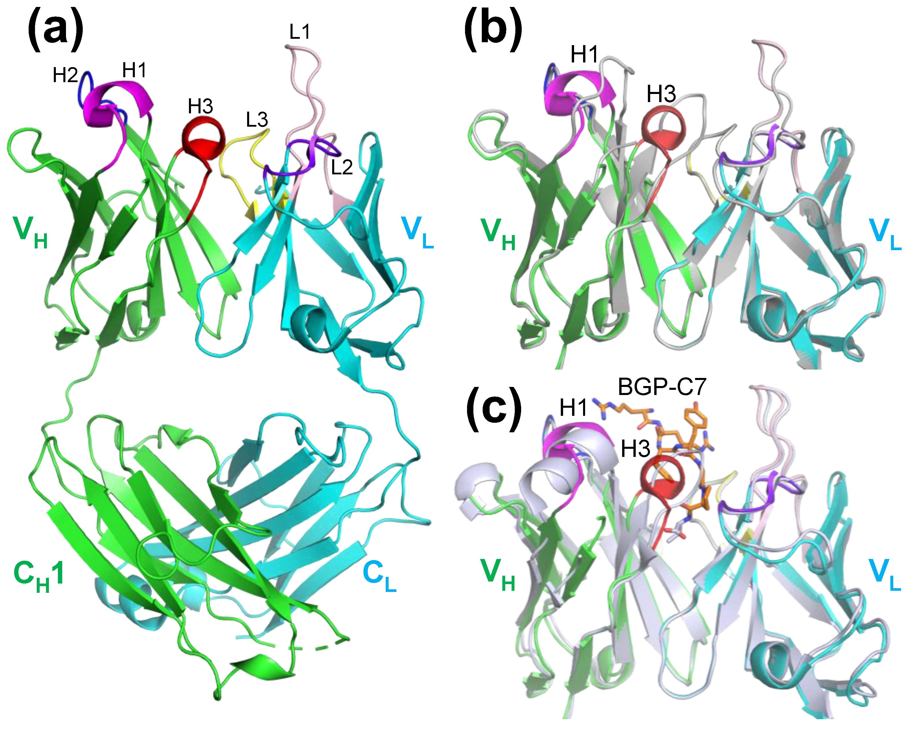 Preprints 120877 g003