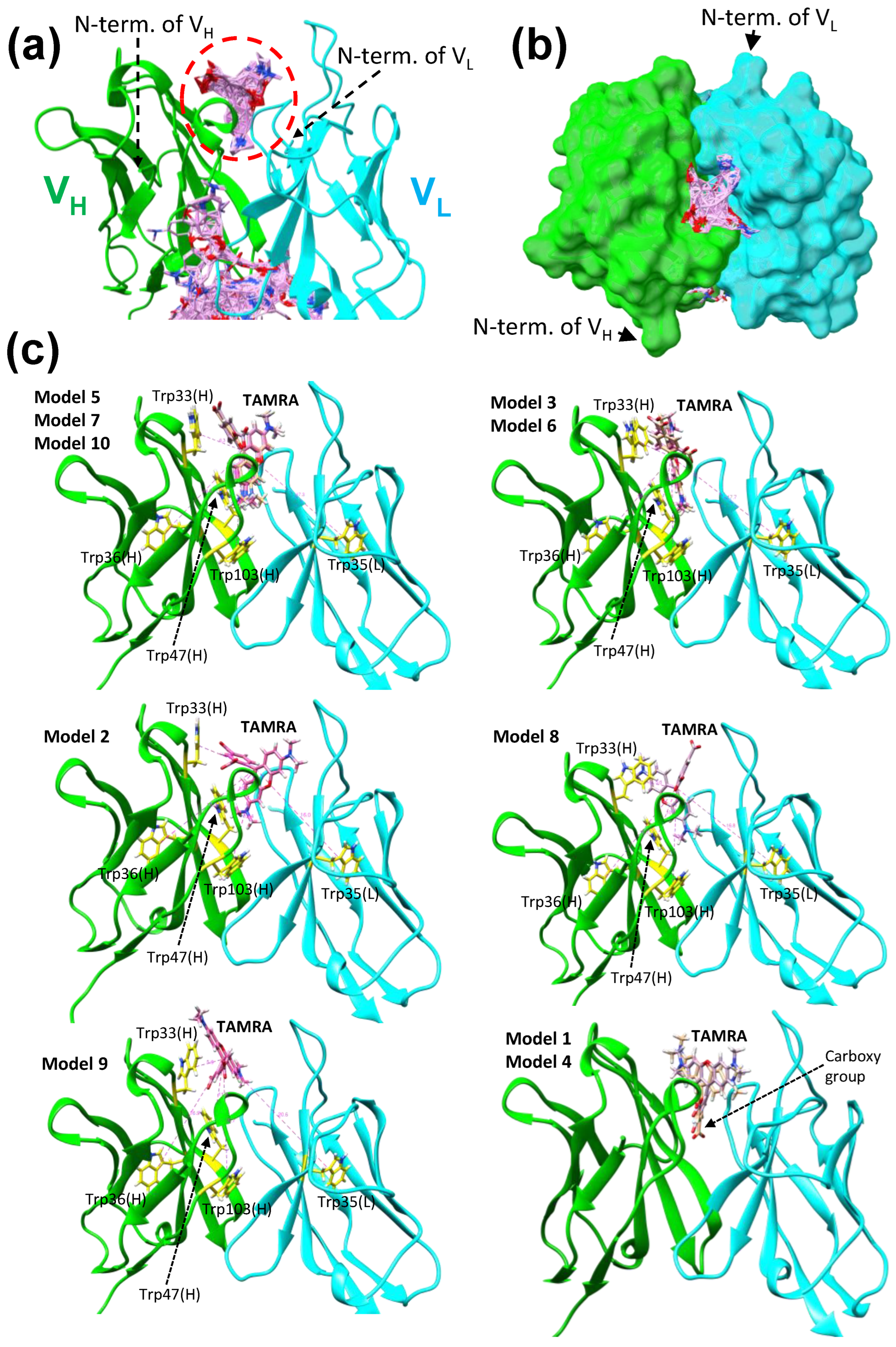 Preprints 120877 g004