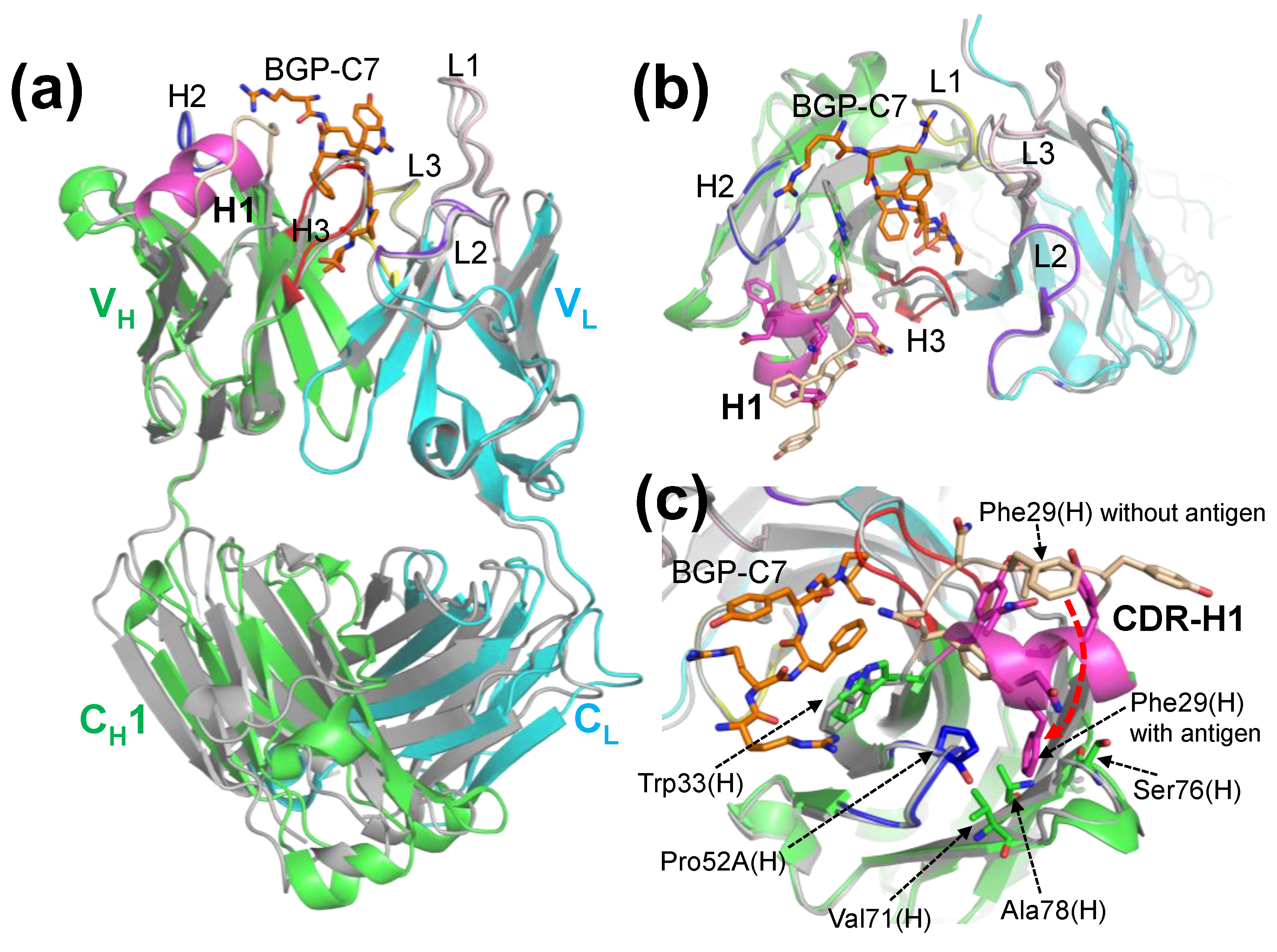 Preprints 120877 g005