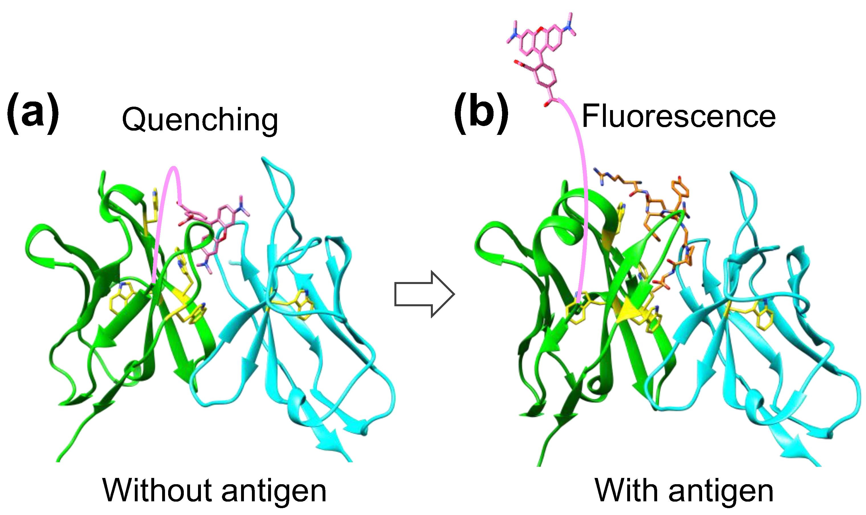 Preprints 120877 g006