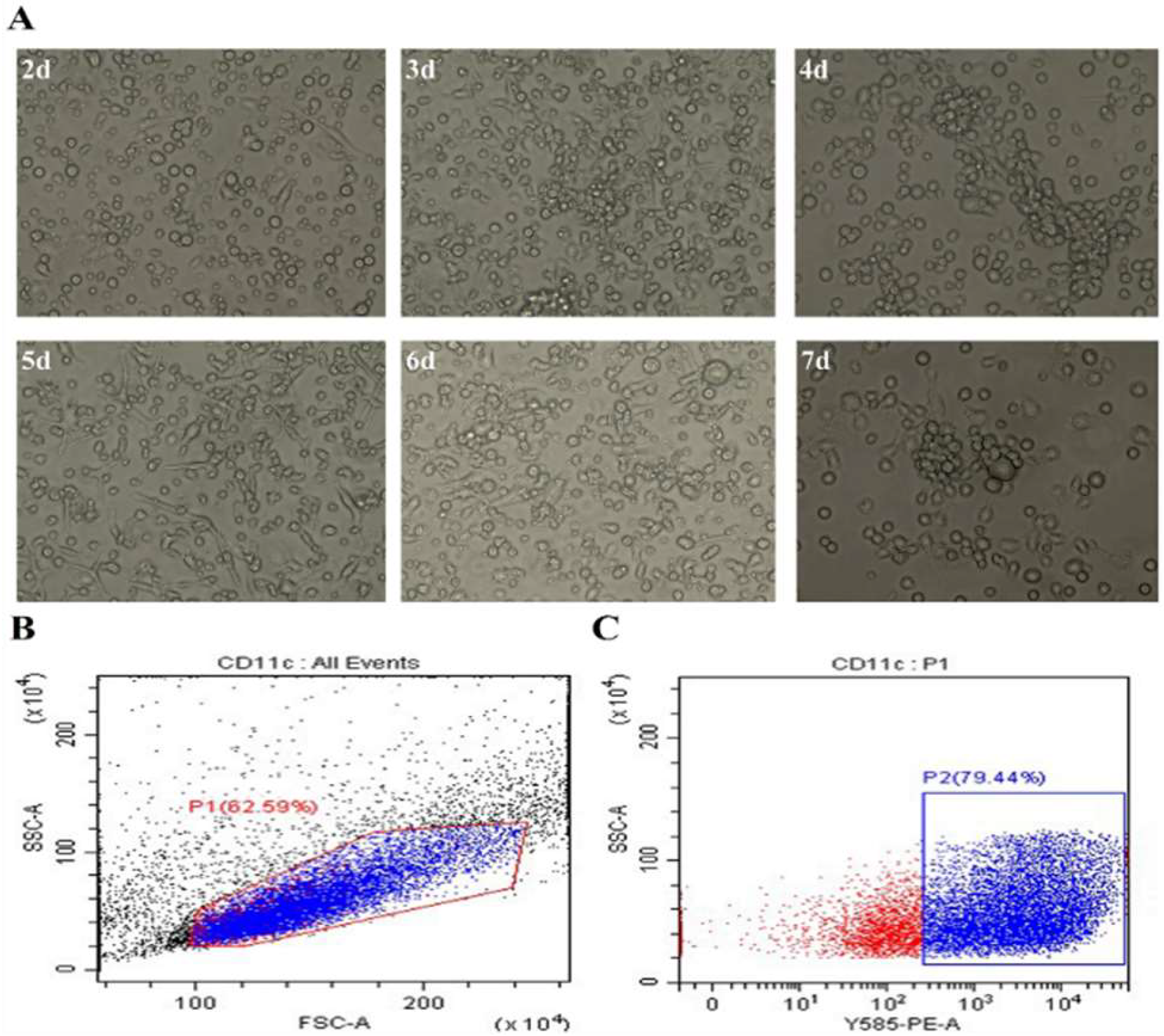 Preprints 118559 g001