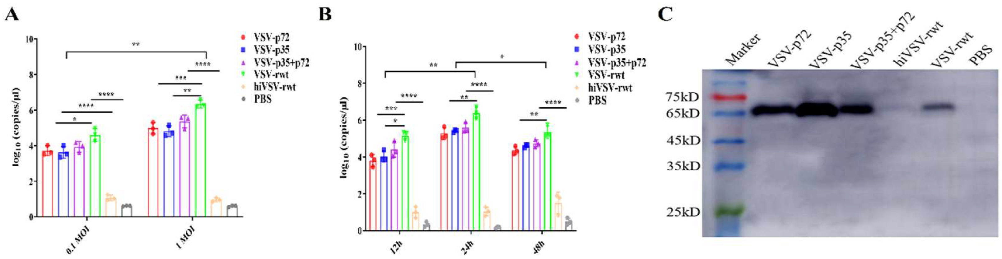 Preprints 118559 g002