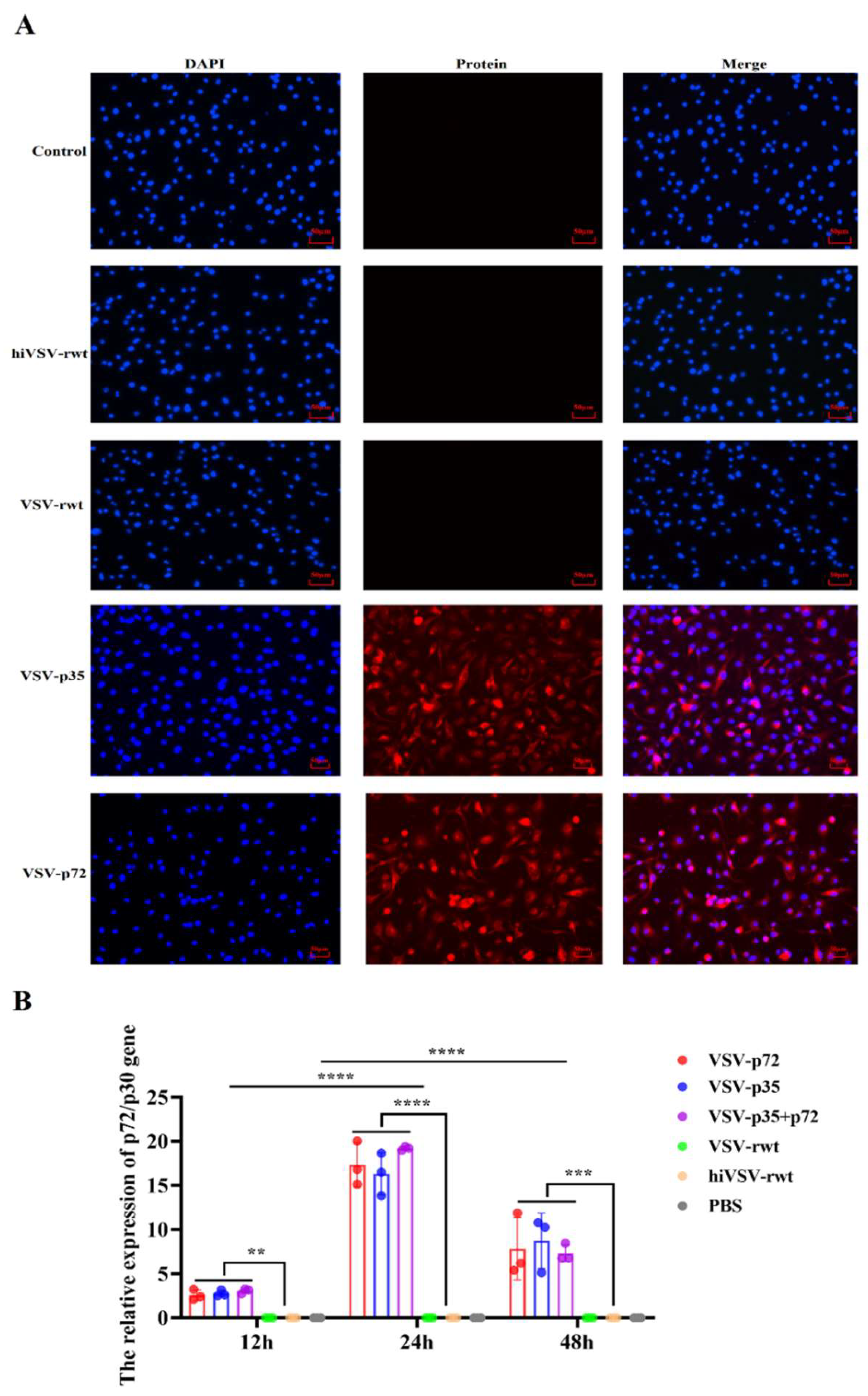 Preprints 118559 g009