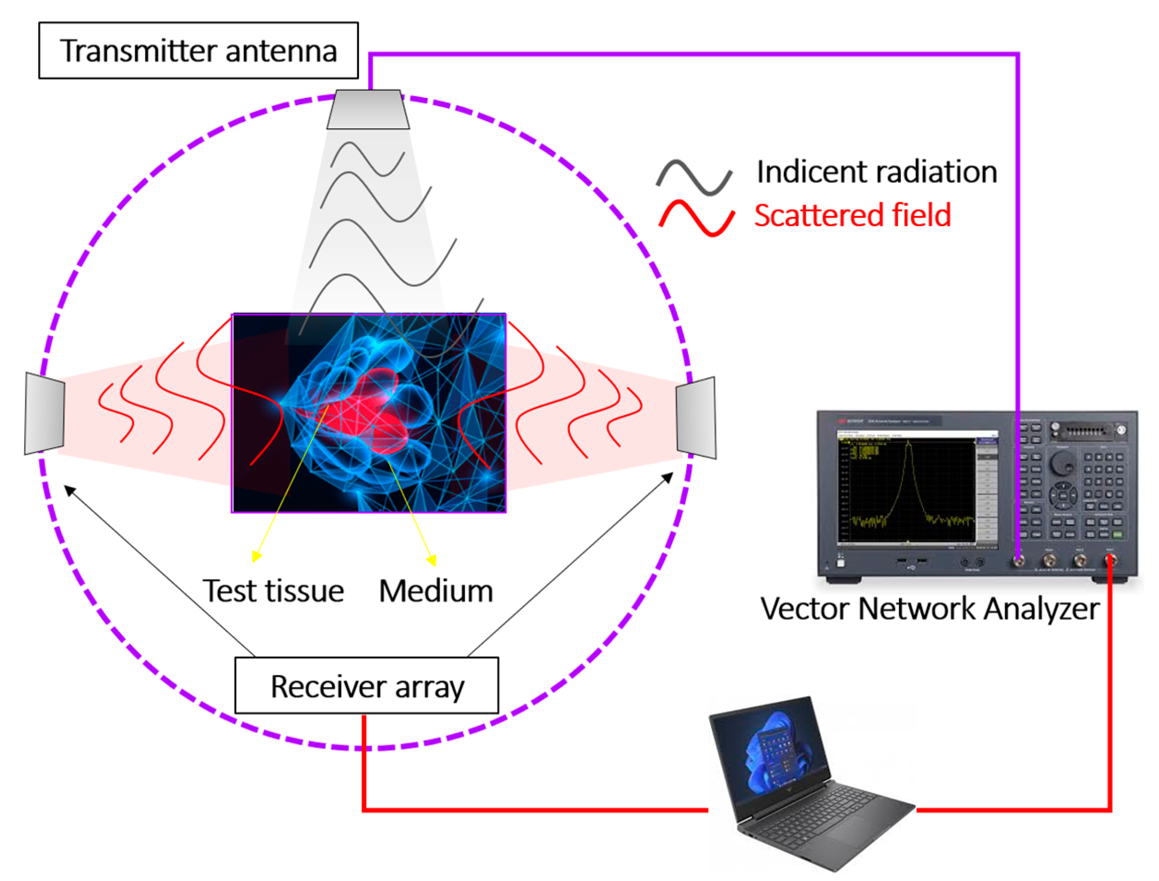 Preprints 112627 g001