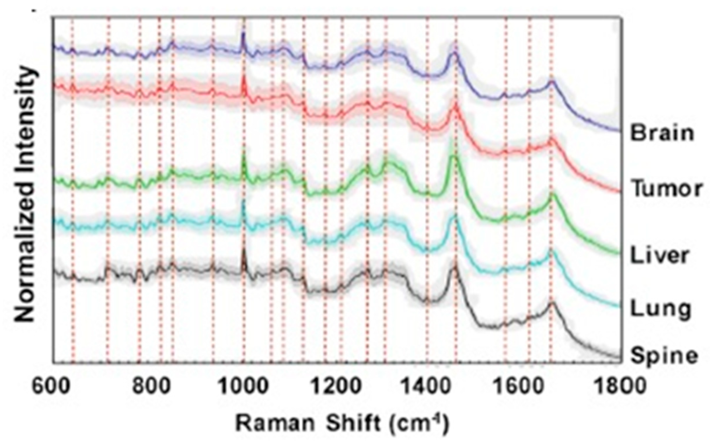 Preprints 112627 g004