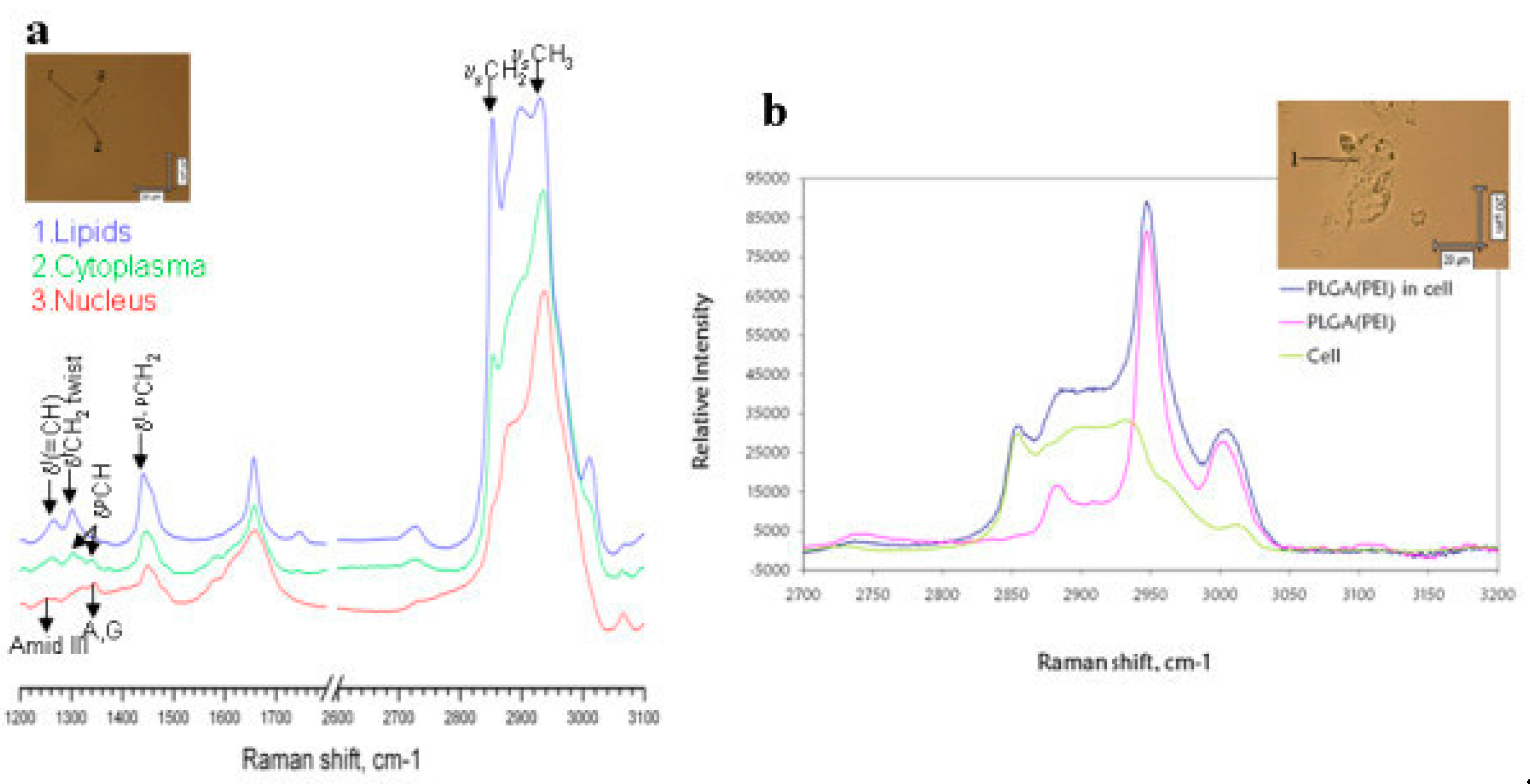 Preprints 112627 g005