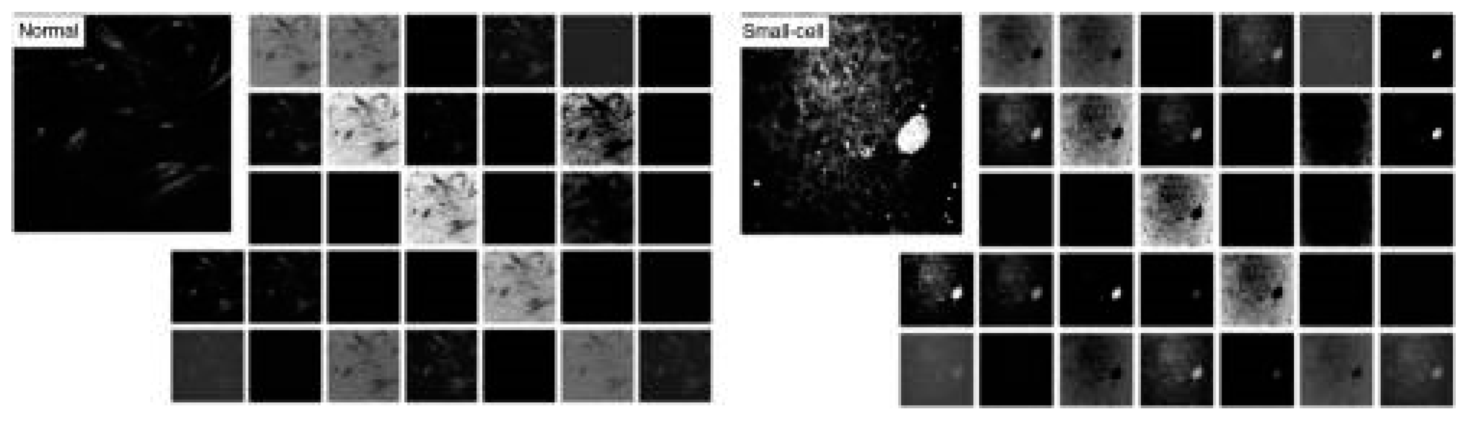 Preprints 112627 g006